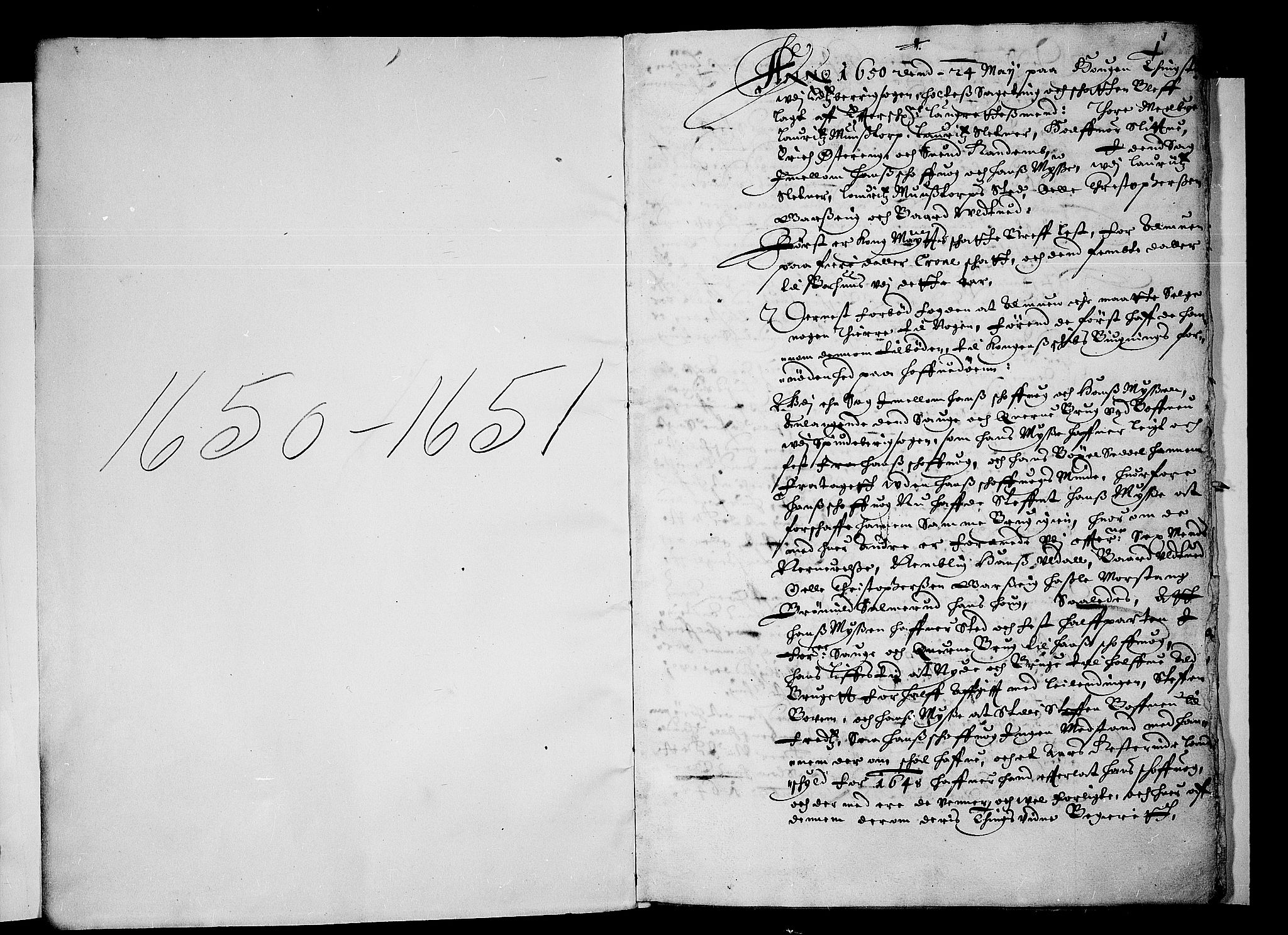 Heggen og Frøland sorenskriveri I, AV/SAO-A-11556/F/Fb/L0001: Tingbok, 1650-1651, p. 0b-1a