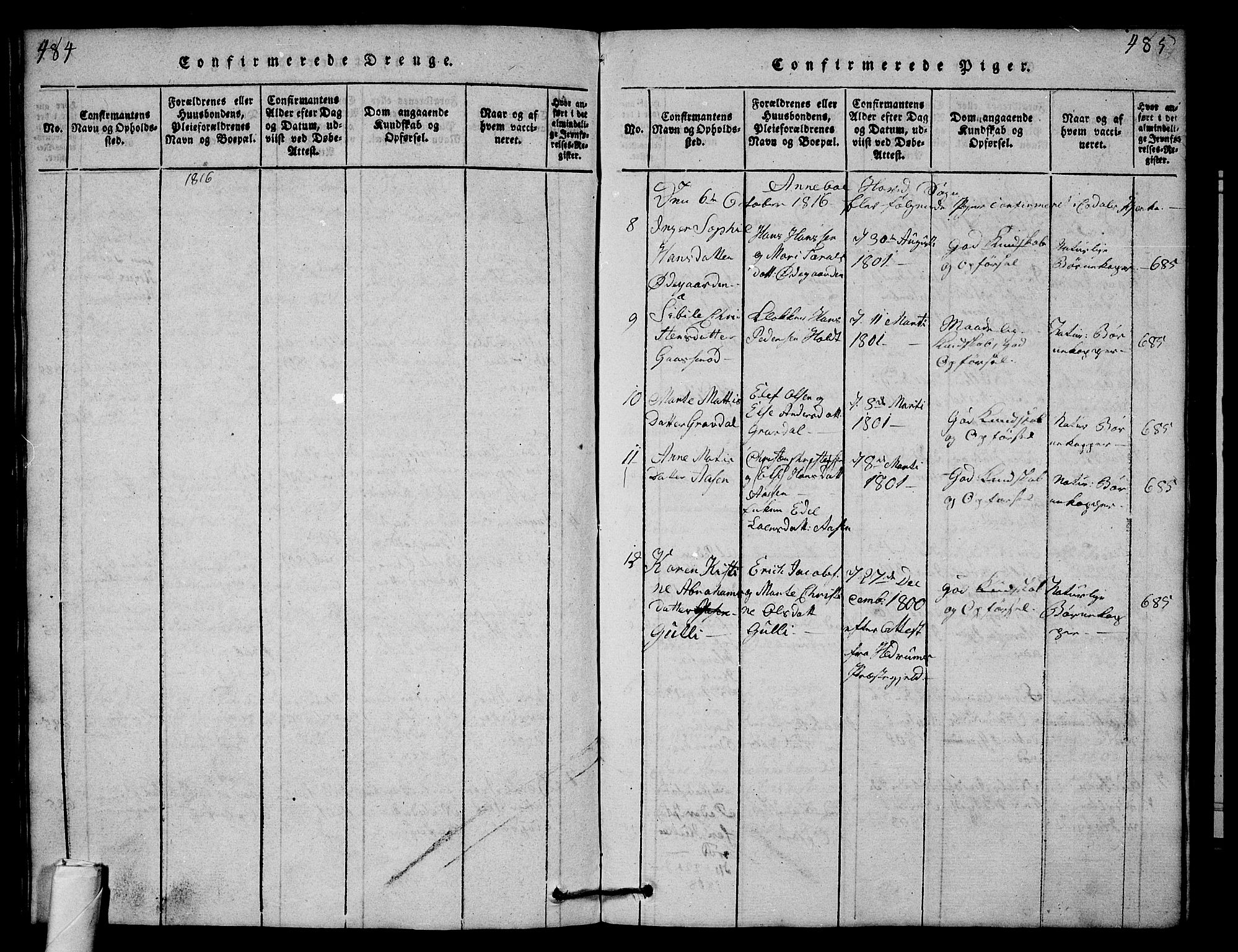 Andebu kirkebøker, AV/SAKO-A-336/G/Ga/L0001: Parish register (copy) no. I 1 /1, 1815-1823, p. 484-485