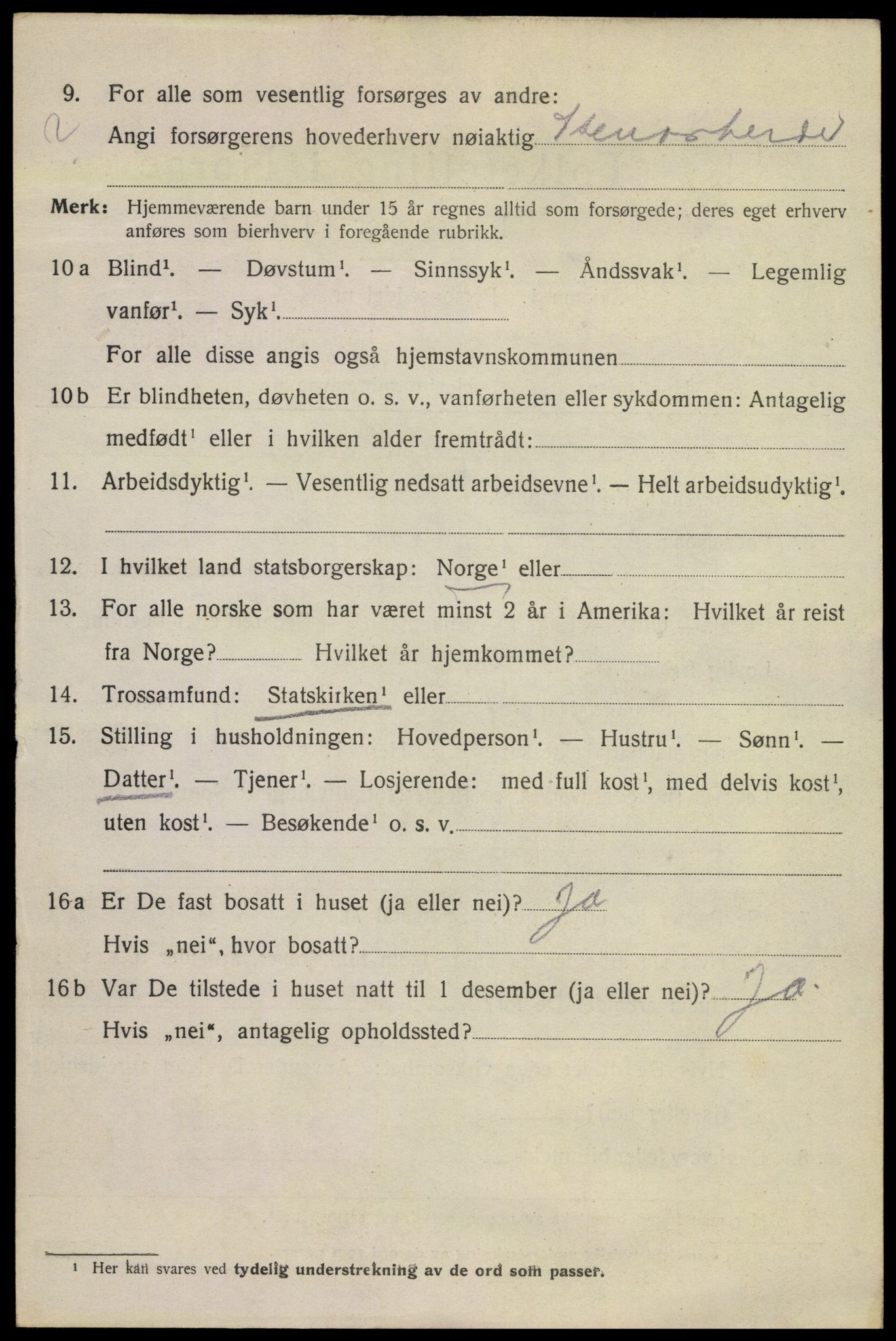 SAKO, 1920 census for Kragerø, 1920, p. 11118
