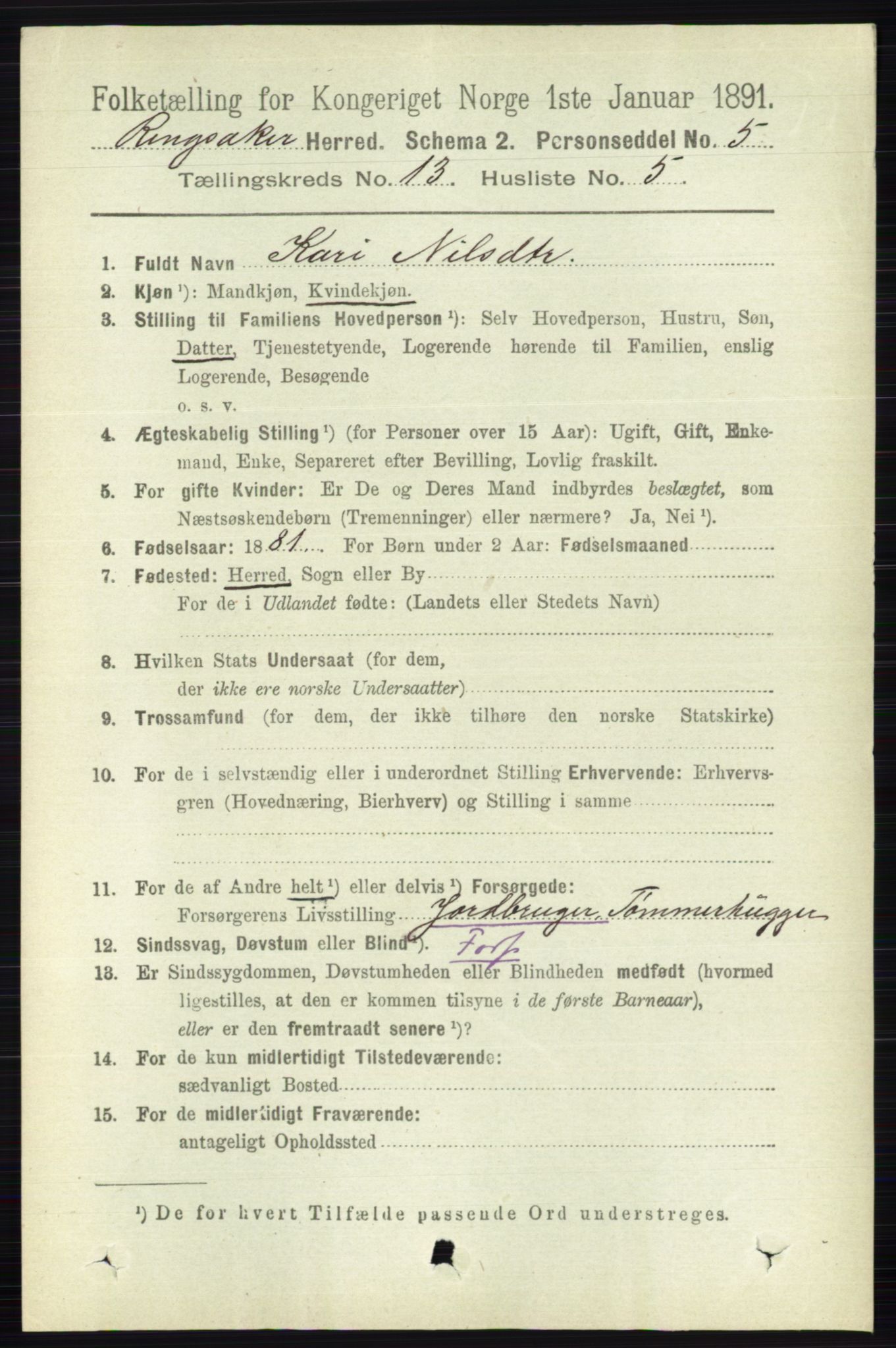 RA, 1891 census for 0412 Ringsaker, 1891, p. 7233