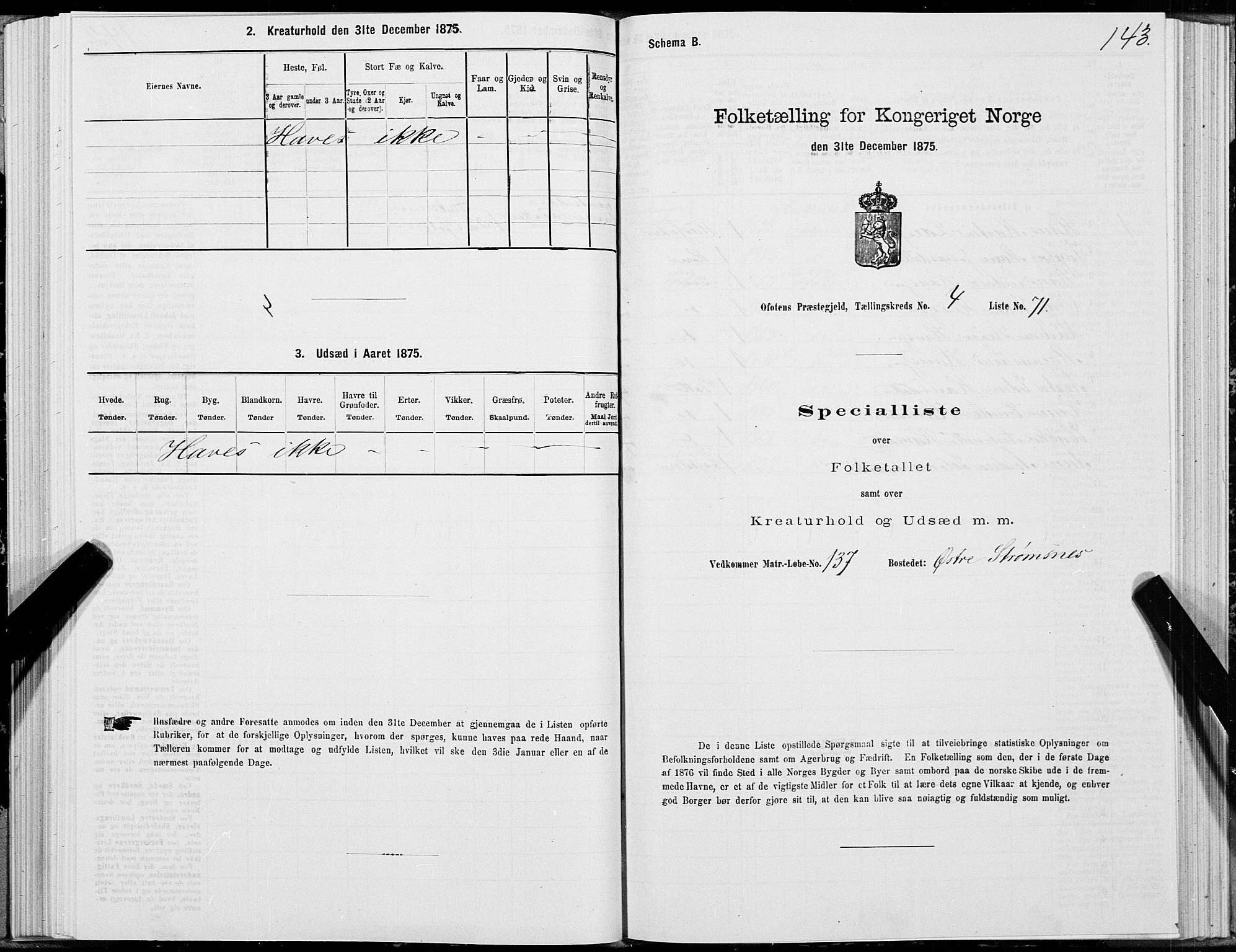 SAT, 1875 census for 1853P Ofoten, 1875, p. 3143