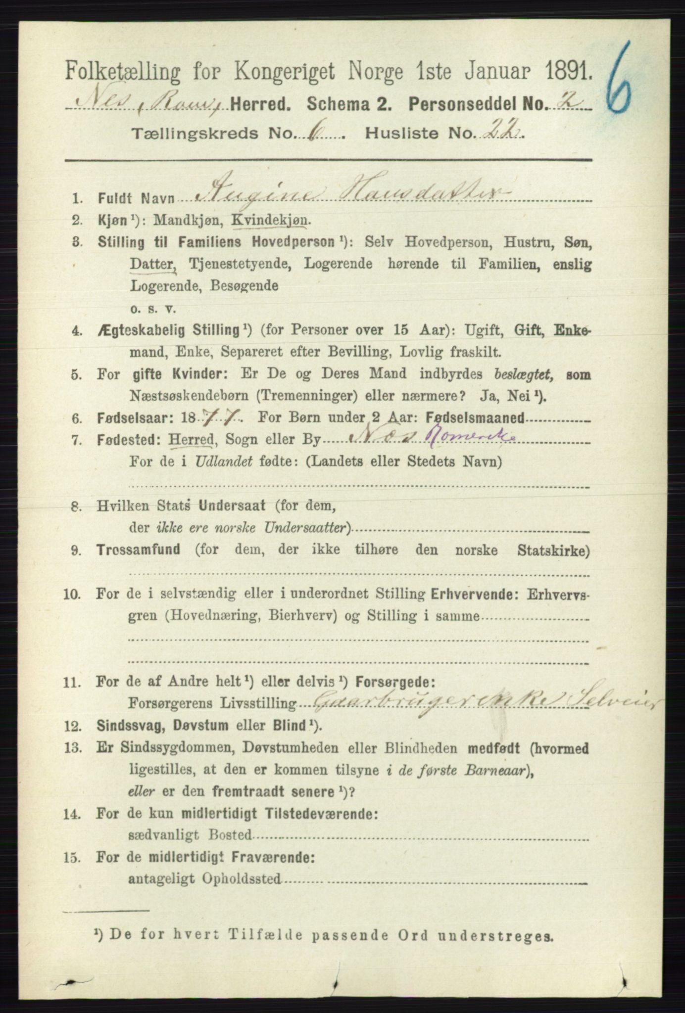 RA, 1891 census for 0236 Nes, 1891, p. 3506