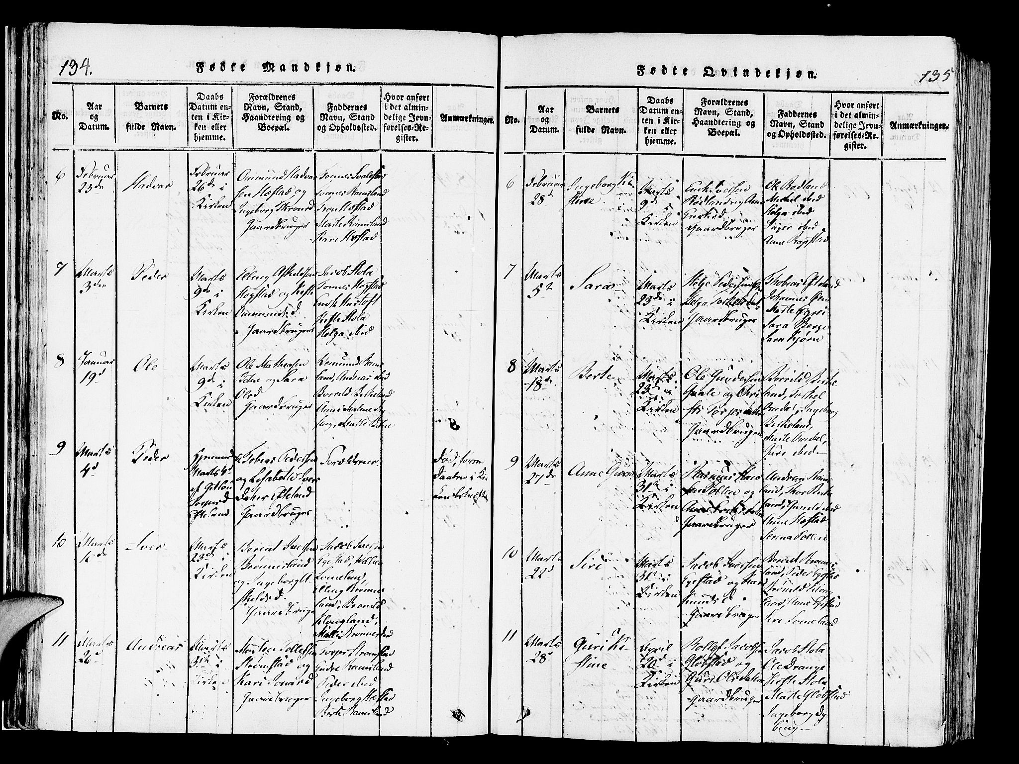 Helleland sokneprestkontor, AV/SAST-A-101810: Parish register (official) no. A 4, 1815-1834, p. 134-135