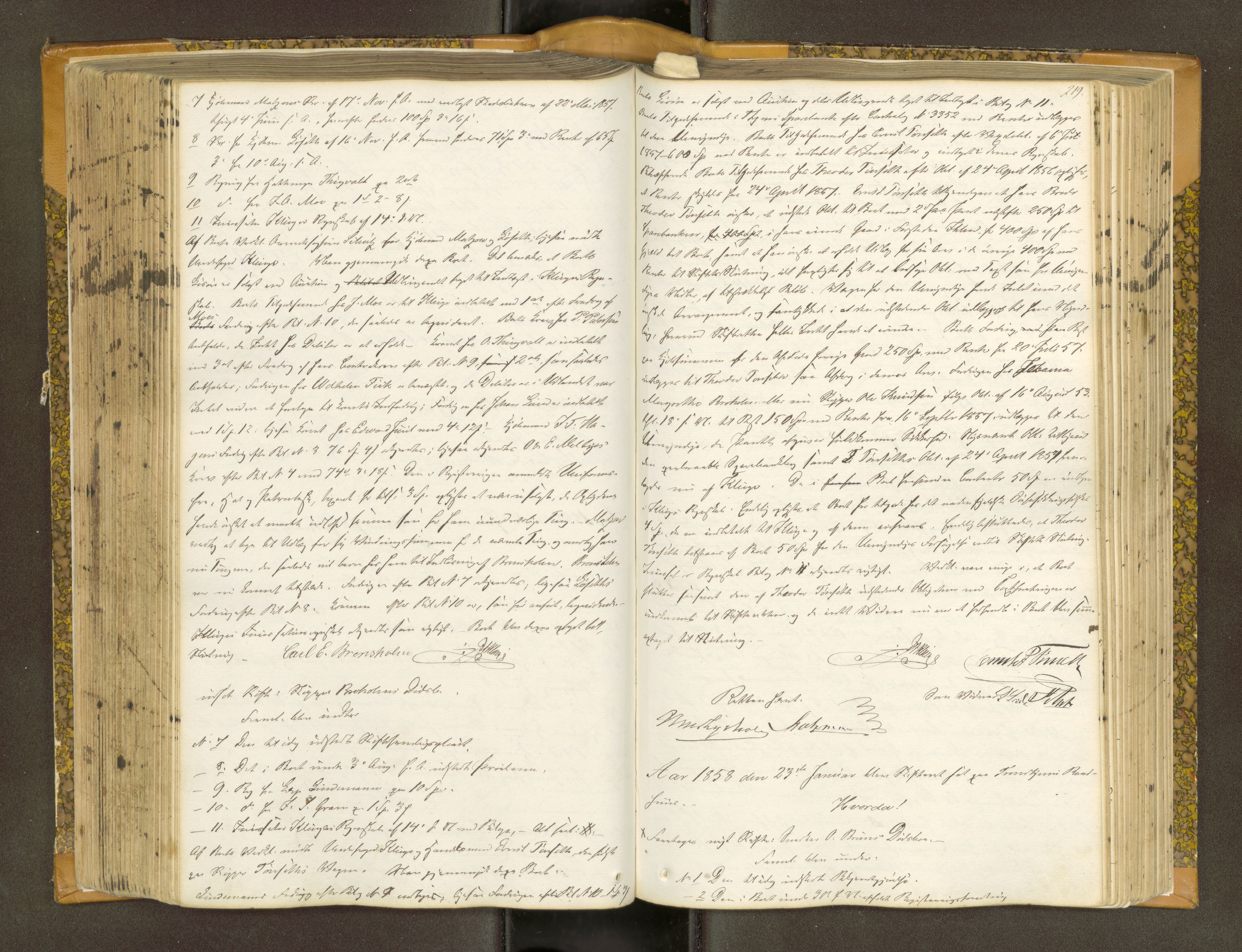 Trondheim byfogd, AV/SAT-A-0003/1/3/3B/L0005: Skiftebehandlingsprotokoll (u/ register) gml.nr.29. U, 1851-1859, p. 219