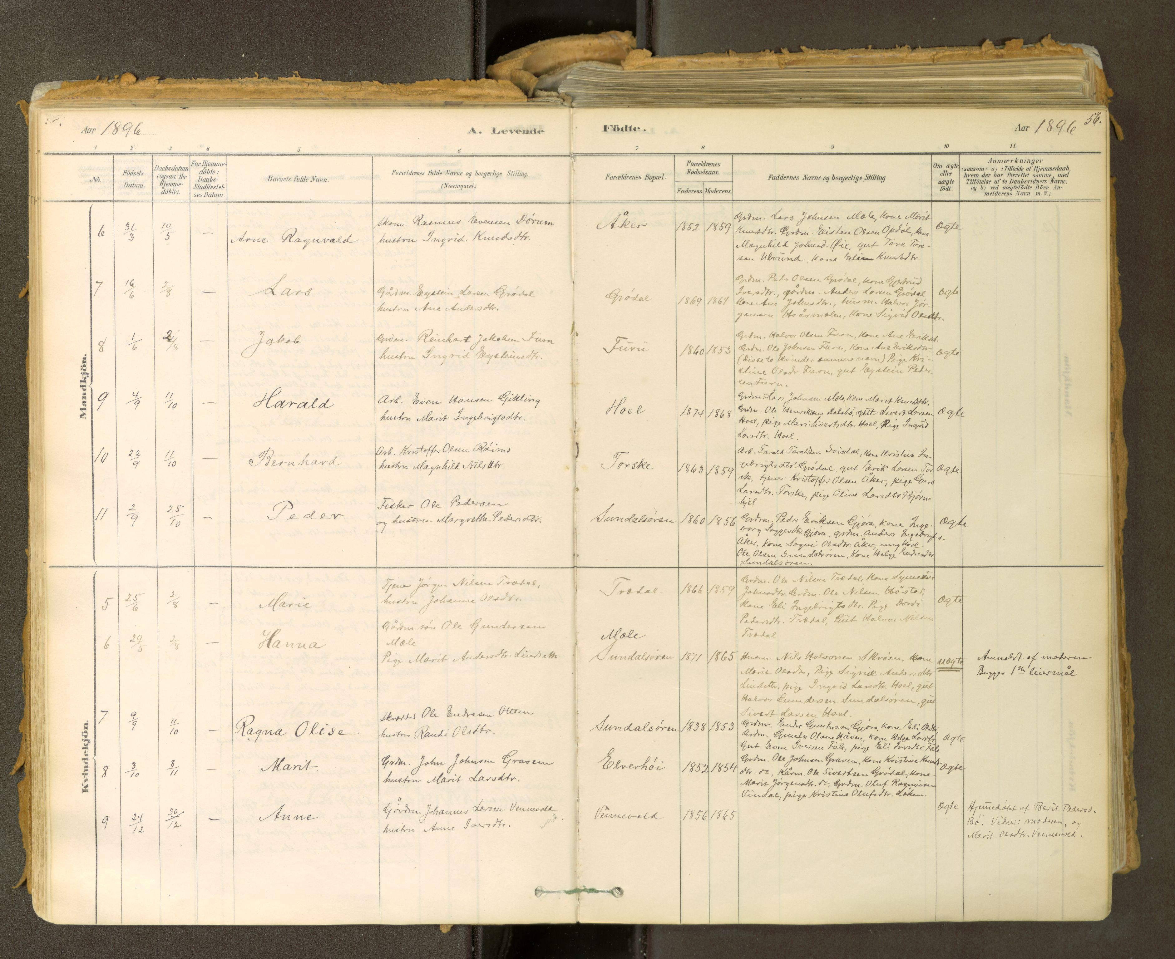 Sunndal sokneprestkontor, SAT/A-1085/1/I/I1/I1a: Parish register (official) no. 2, 1877-1914, p. 56