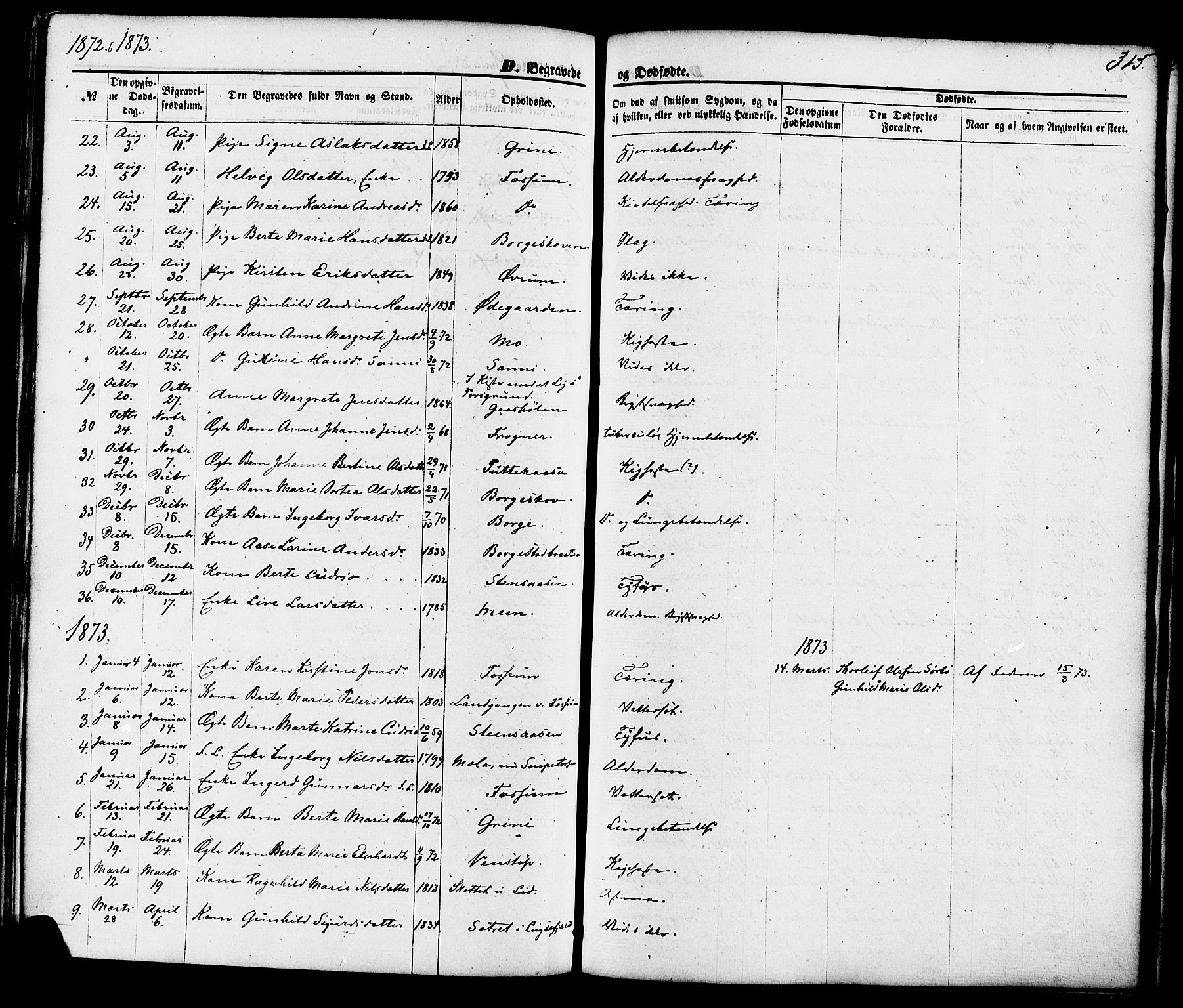 Gjerpen kirkebøker, AV/SAKO-A-265/F/Fa/L0009: Parish register (official) no. I 9, 1872-1885, p. 315