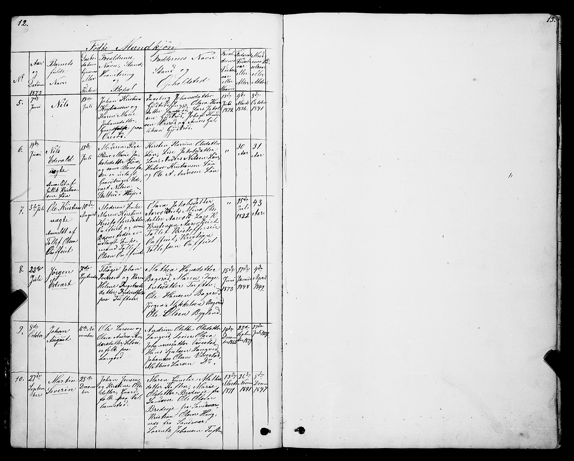 Ramnes kirkebøker, AV/SAKO-A-314/G/Gc/L0001: Parish register (copy) no. III 1, 1869-1903, p. 12-13