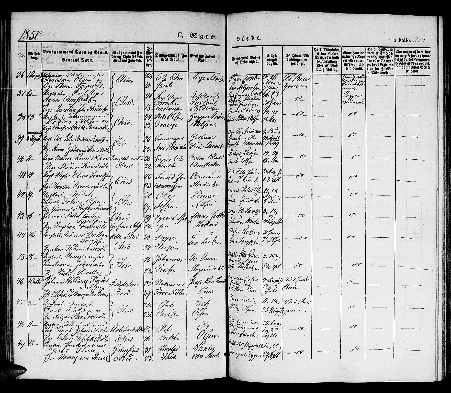 Kristiansand domprosti, SAK/1112-0006/F/Fb/L0010: Parish register (copy) no. B 10, 1843-1850, p. 223