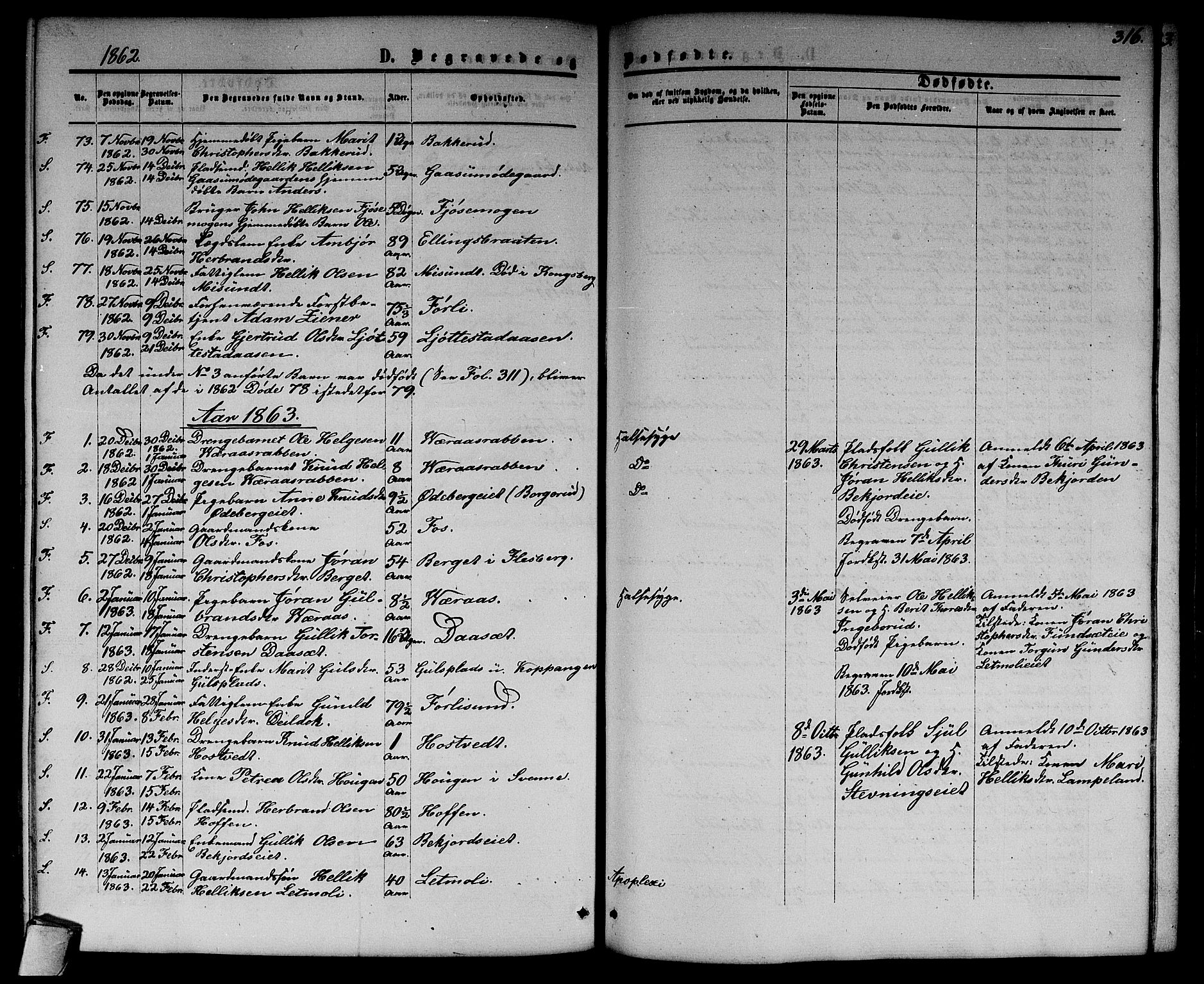 Flesberg kirkebøker, SAKO/A-18/G/Ga/L0003: Parish register (copy) no. I 3, 1861-1889, p. 316