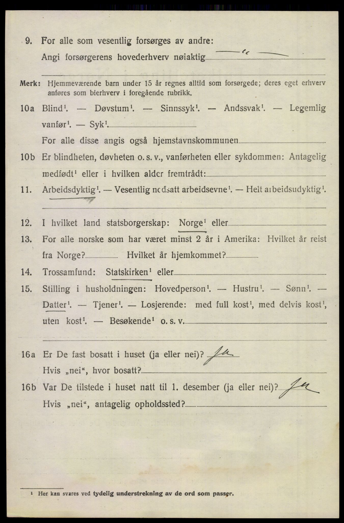 SAKO, 1920 census for Våle, 1920, p. 4799