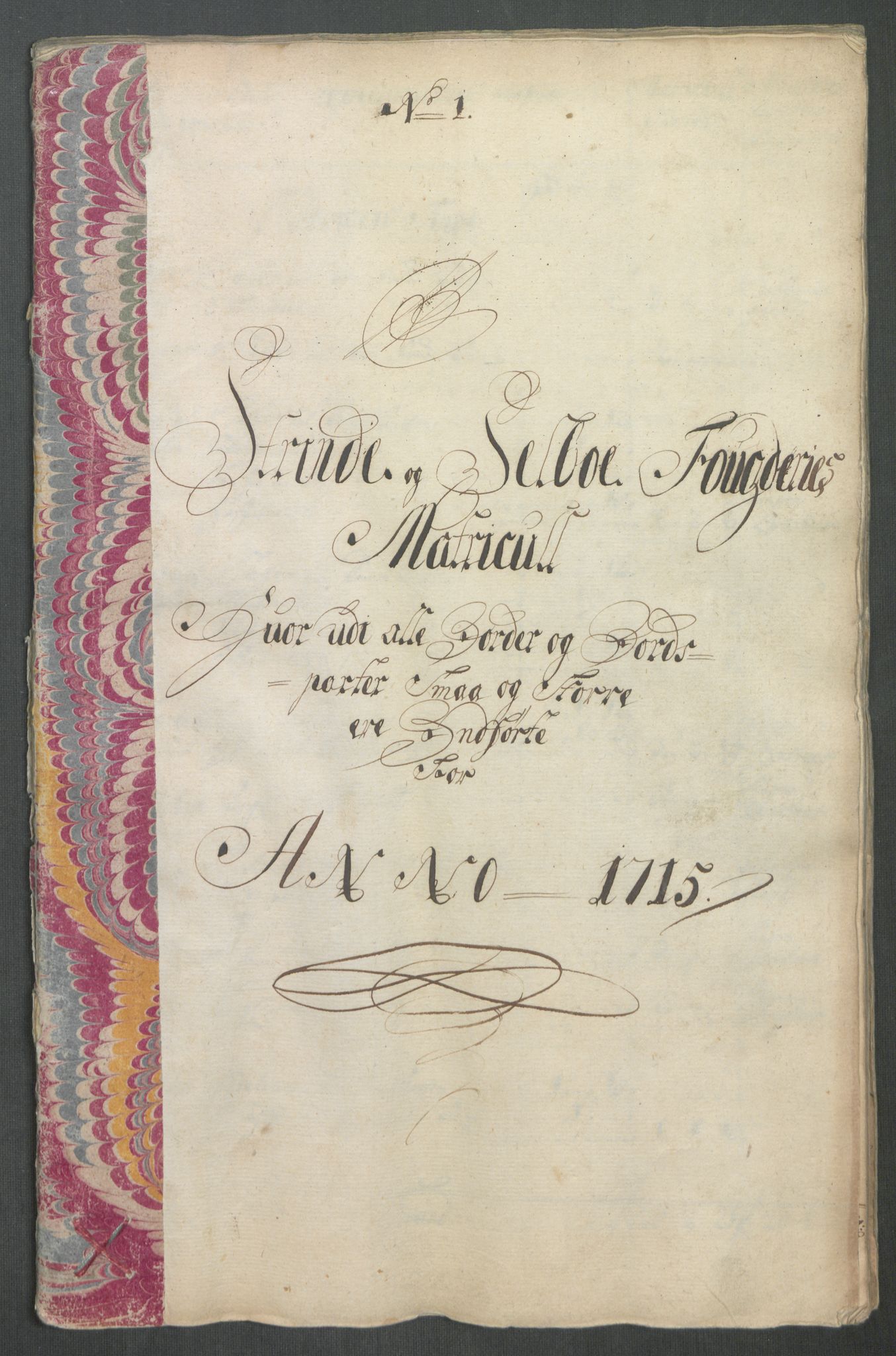 Rentekammeret inntil 1814, Reviderte regnskaper, Fogderegnskap, AV/RA-EA-4092/R61/L4115: Fogderegnskap Strinda og Selbu, 1715-1716, p. 14