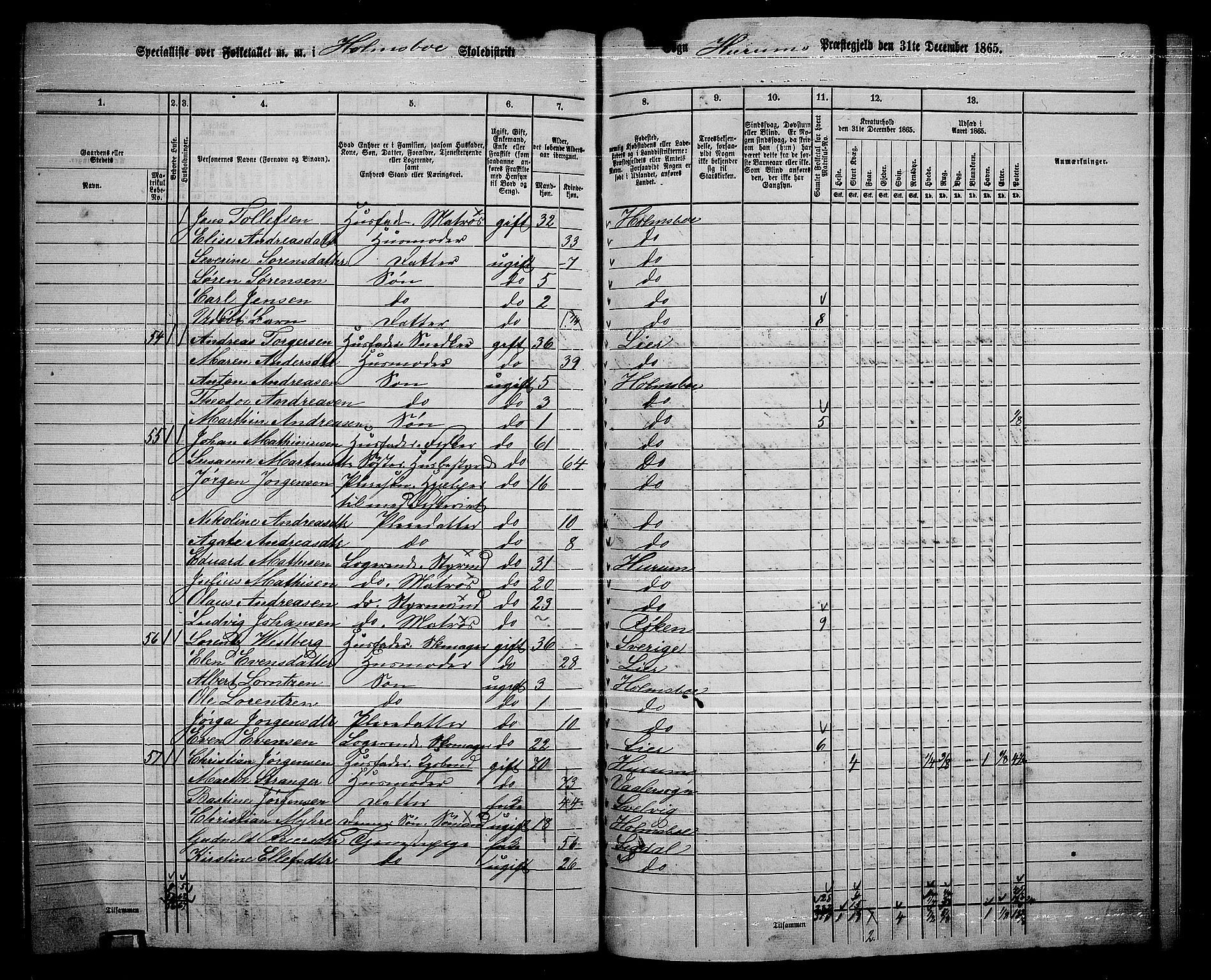 RA, 1865 census for Hurum, 1865, p. 116