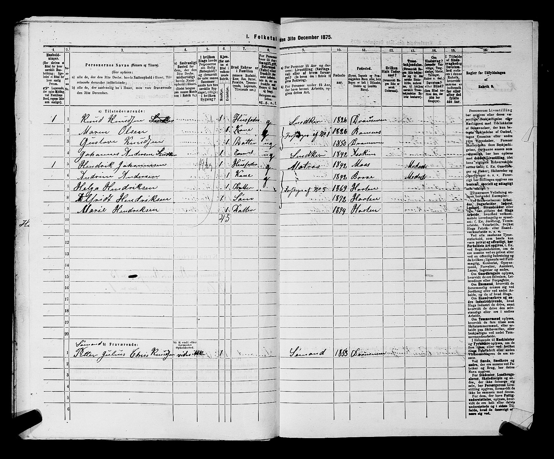 SAKO, 1875 census for 0703P Horten, 1875, p. 619