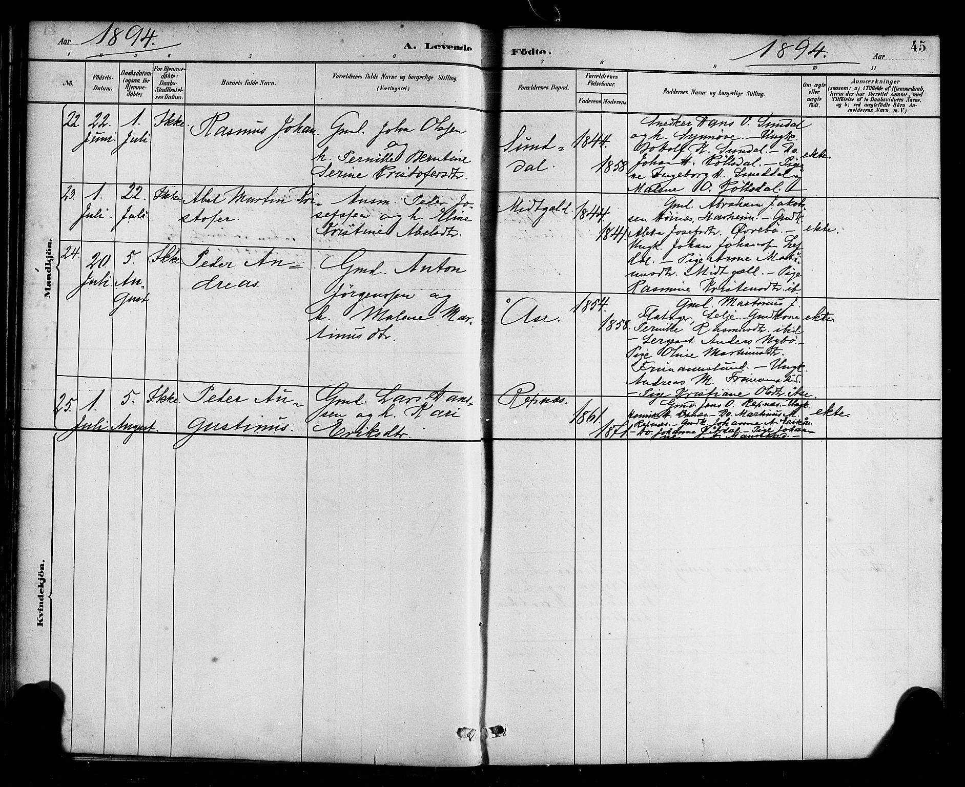 Davik sokneprestembete, AV/SAB-A-79701/H/Haa/Haab/L0001: Parish register (official) no. B 1, 1882-1900, p. 45