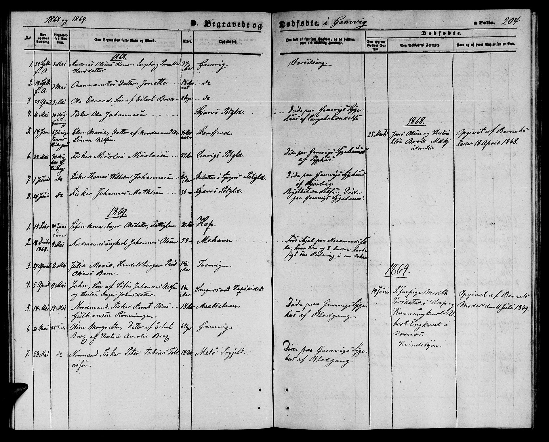 Tana sokneprestkontor, SATØ/S-1334/H/Hb/L0002klokker: Parish register (copy) no. 2 /2, 1867-1877, p. 204