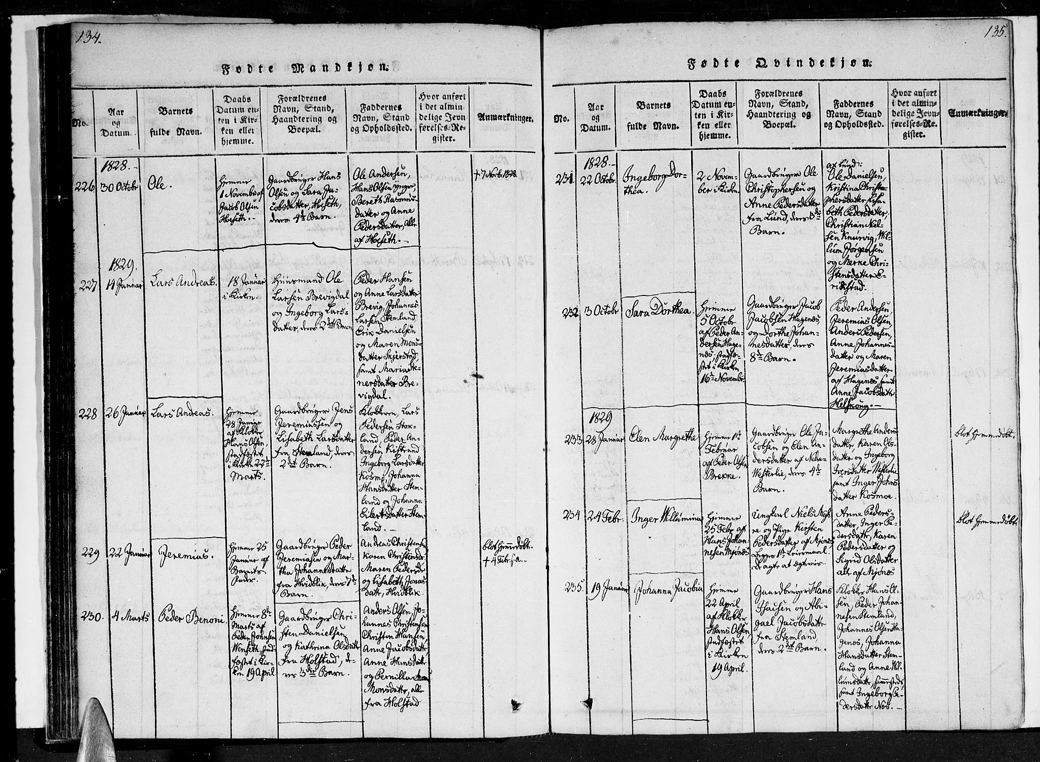 Ministerialprotokoller, klokkerbøker og fødselsregistre - Nordland, SAT/A-1459/852/L0736: Parish register (official) no. 852A06, 1820-1833, p. 134-135