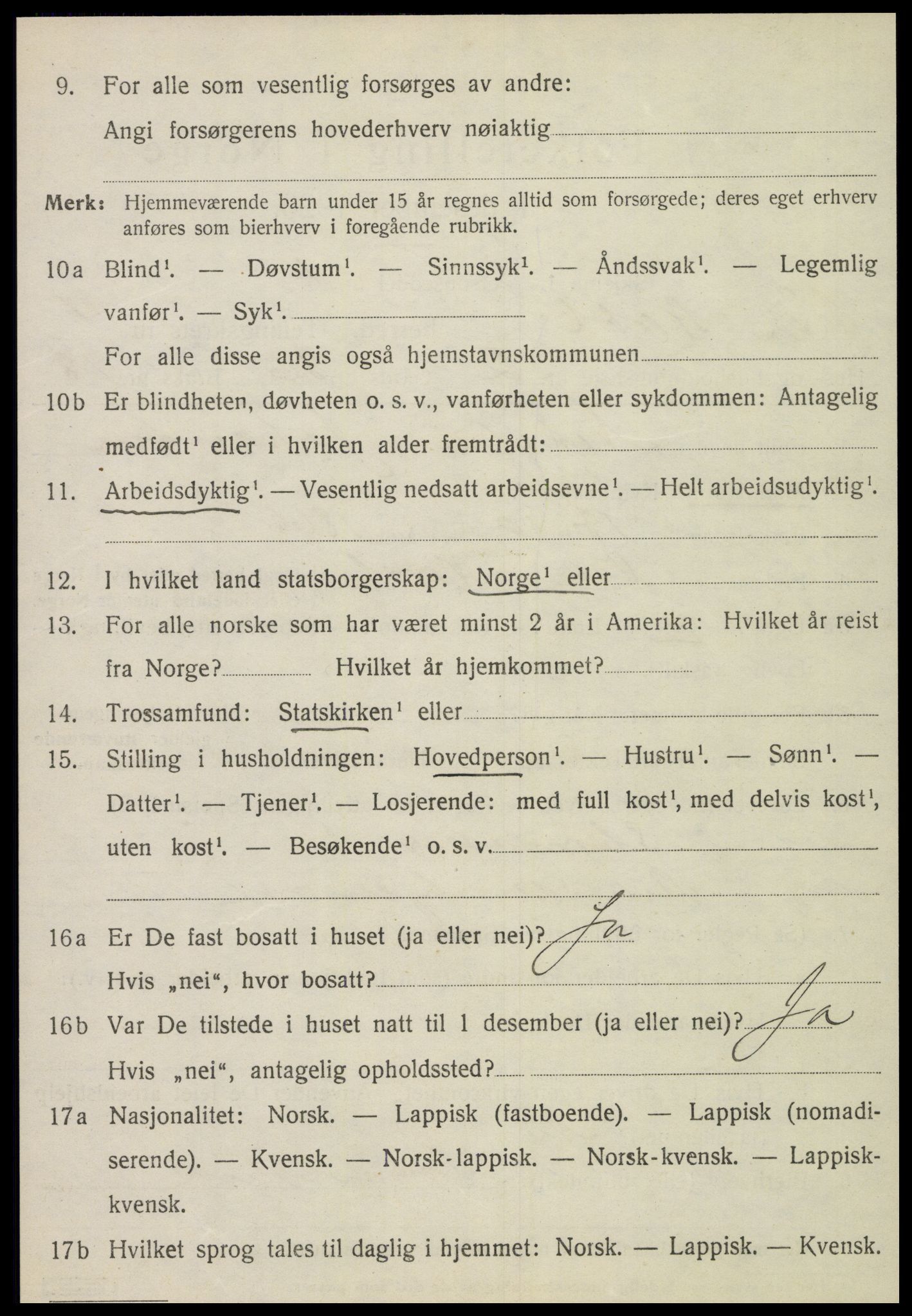 SAT, 1920 census for Vik, 1920, p. 2370