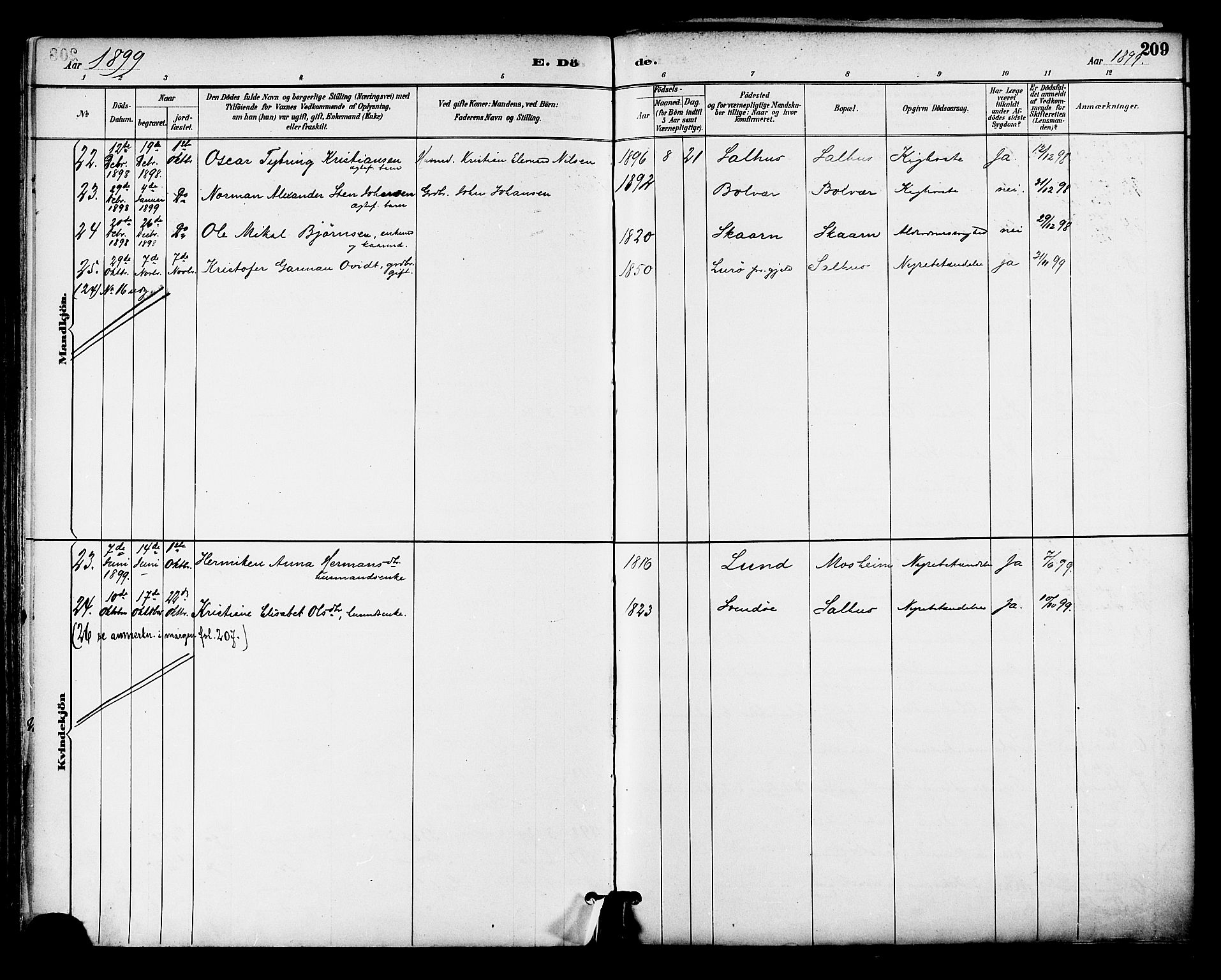 Ministerialprotokoller, klokkerbøker og fødselsregistre - Nordland, AV/SAT-A-1459/813/L0200: Parish register (official) no. 813A10, 1886-1900, p. 209