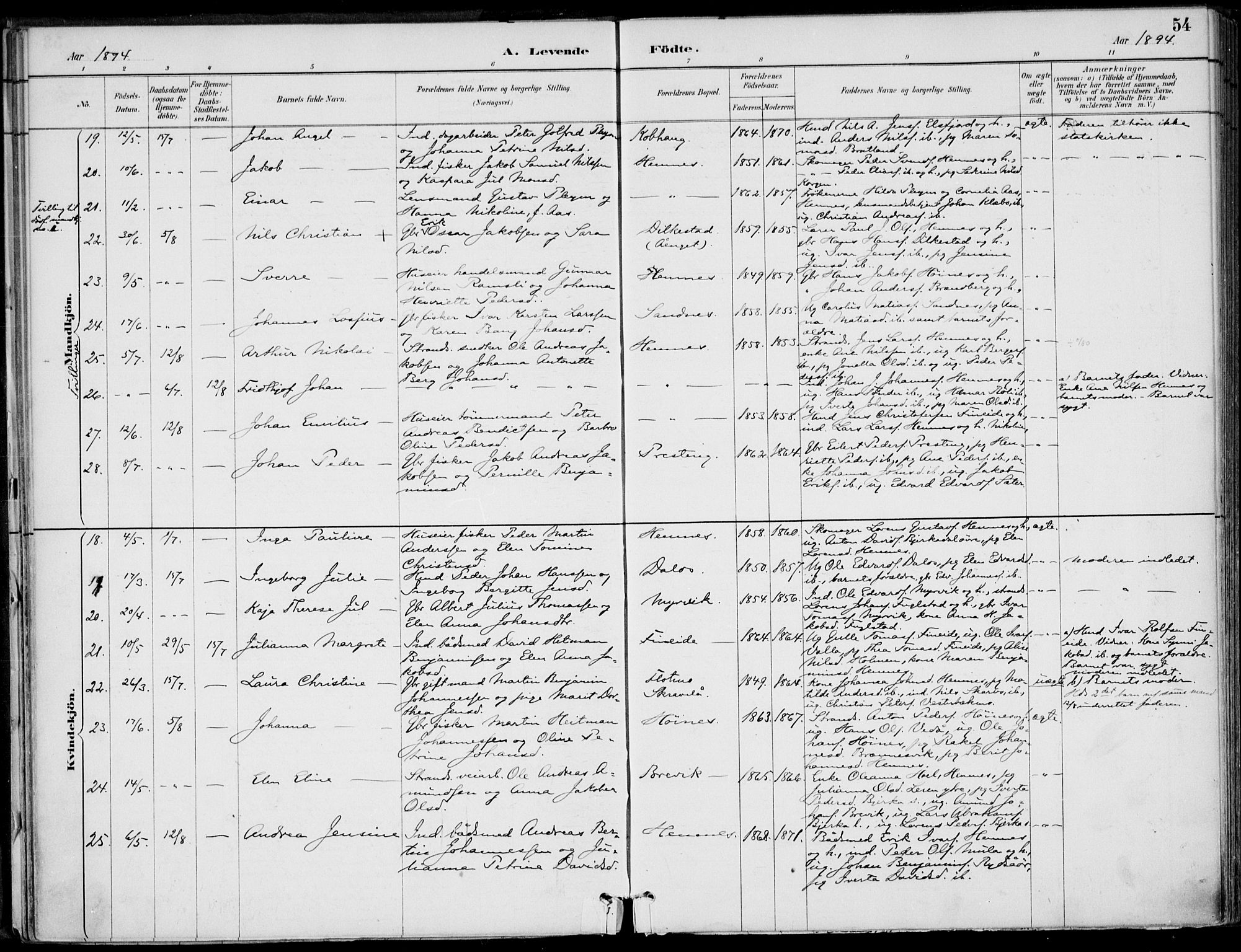 Ministerialprotokoller, klokkerbøker og fødselsregistre - Nordland, AV/SAT-A-1459/825/L0362: Parish register (official) no. 825A16, 1886-1908, p. 54