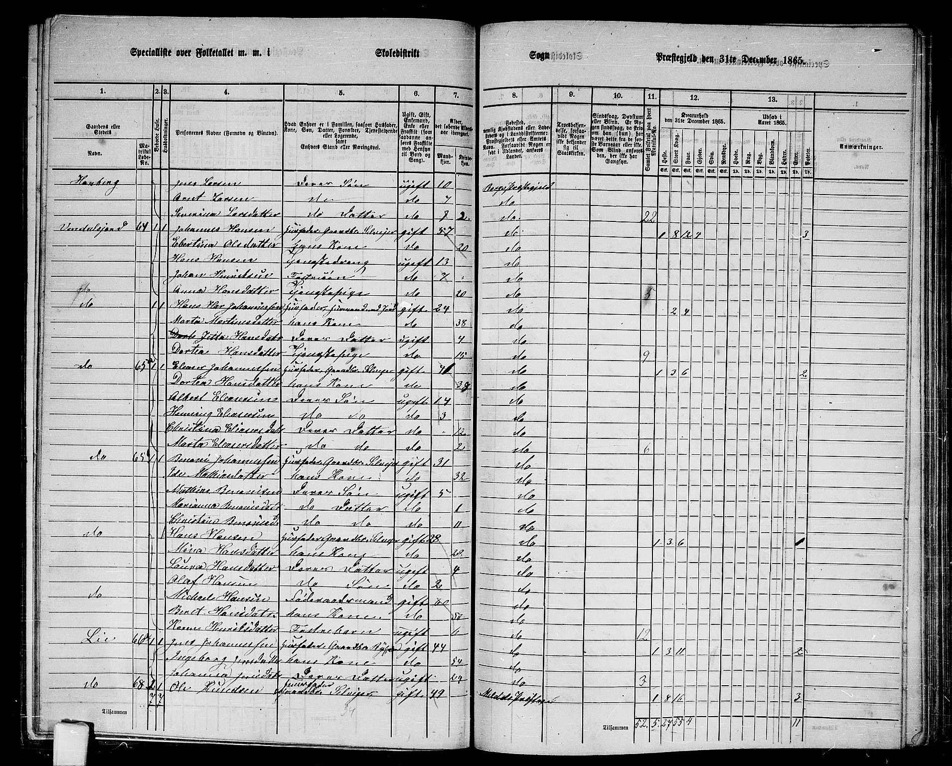 RA, 1865 census for Borge, 1865, p. 30