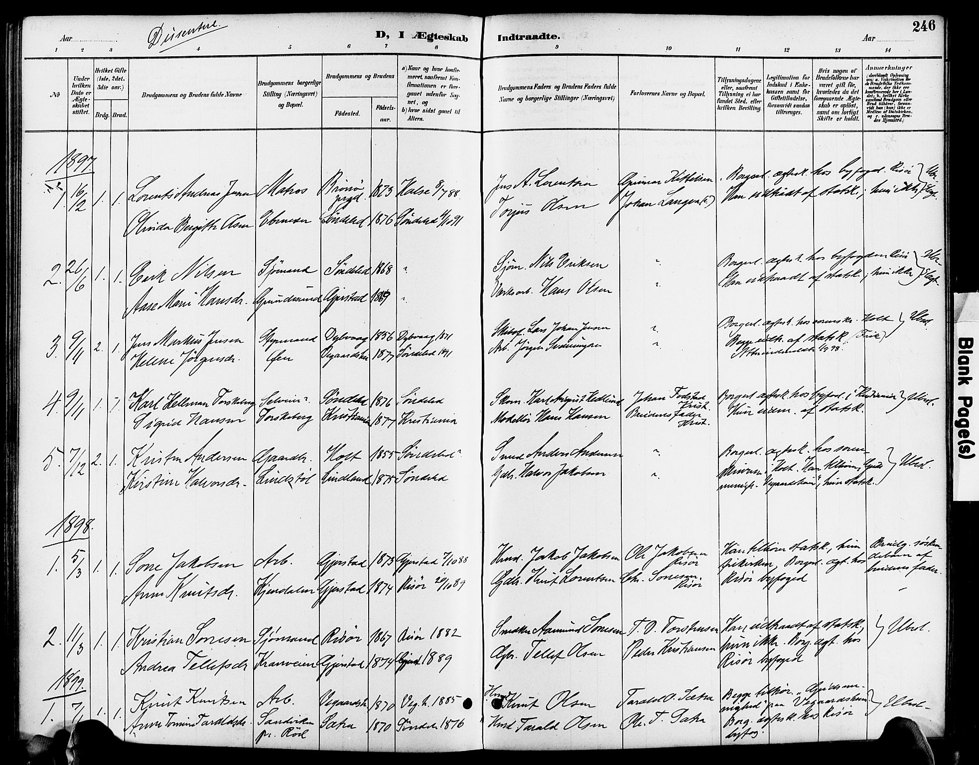 Søndeled sokneprestkontor, SAK/1111-0038/F/Fa/L0005: Parish register (official) no. A 5, 1889-1899, p. 246