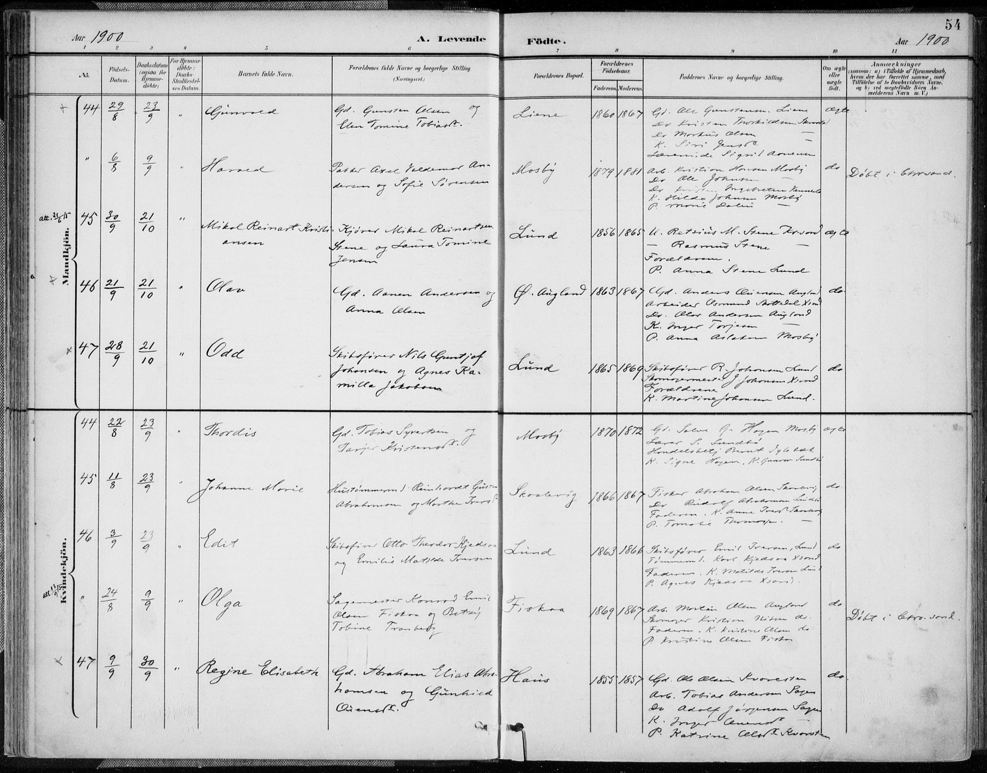 Oddernes sokneprestkontor, SAK/1111-0033/F/Fa/Faa/L0010: Parish register (official) no. A 10, 1897-1911, p. 54