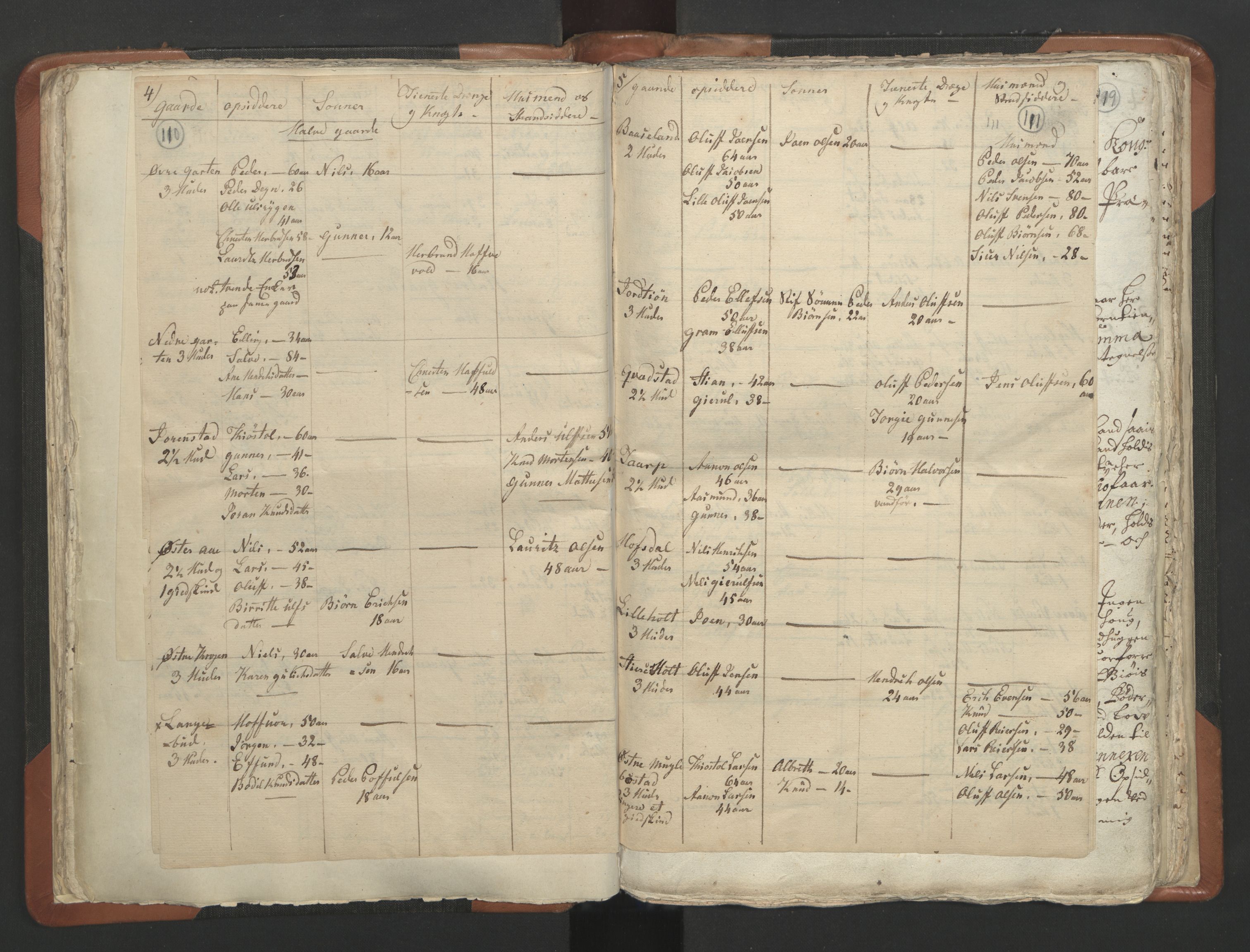 RA, Vicar's Census 1664-1666, no. 13: Nedenes deanery, 1664-1666, p. 110-111