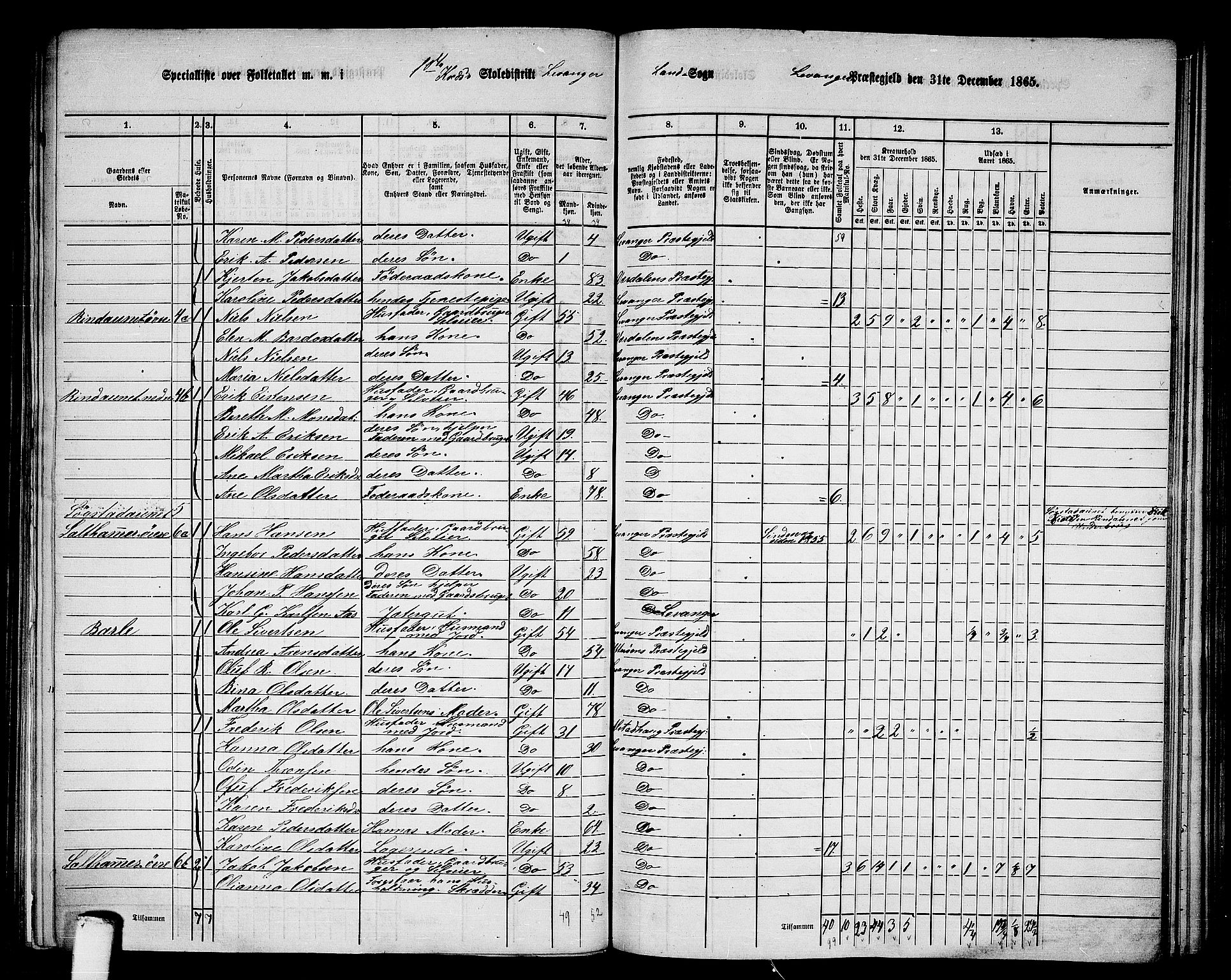 RA, 1865 census for Levanger/Levanger, 1865, p. 8