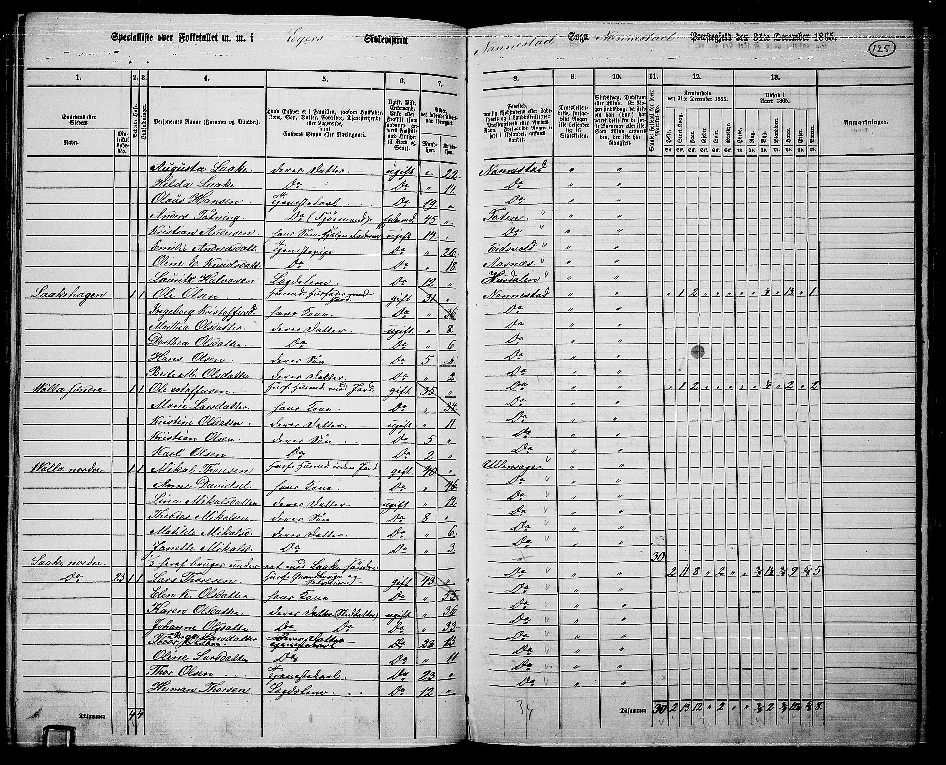 RA, 1865 census for Nannestad, 1865, p. 11