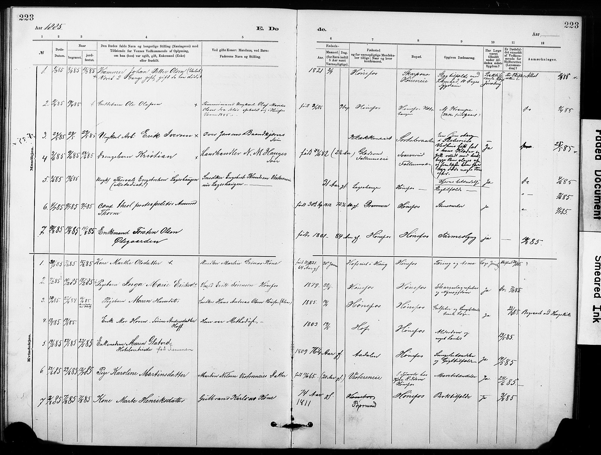 Hønefoss kirkebøker, SAKO/A-609/G/Ga/L0001: Parish register (copy) no. 1, 1870-1887, p. 223