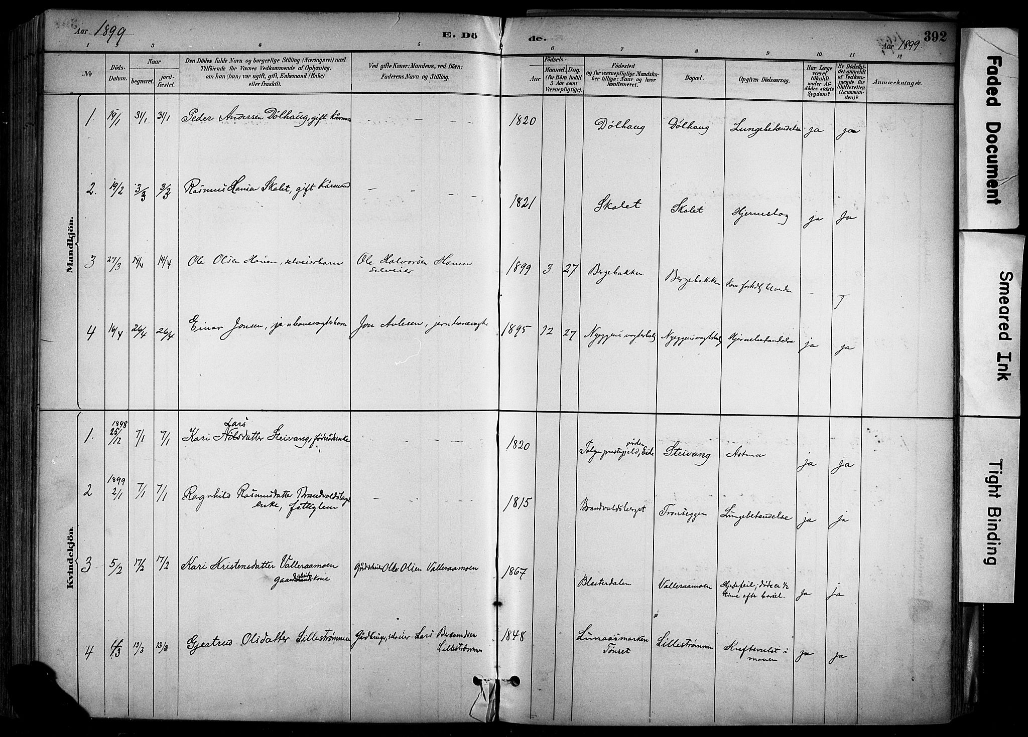 Alvdal prestekontor, SAH/PREST-060/H/Ha/Haa/L0002: Parish register (official) no. 2, 1883-1906, p. 392