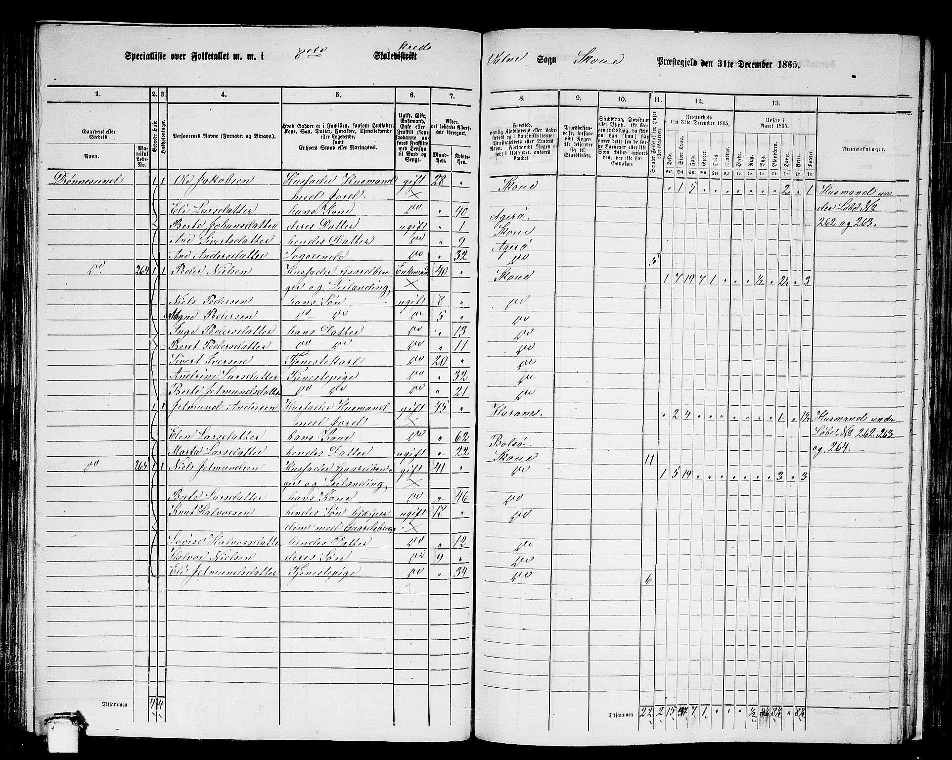 RA, 1865 census for Skodje, 1865, p. 93