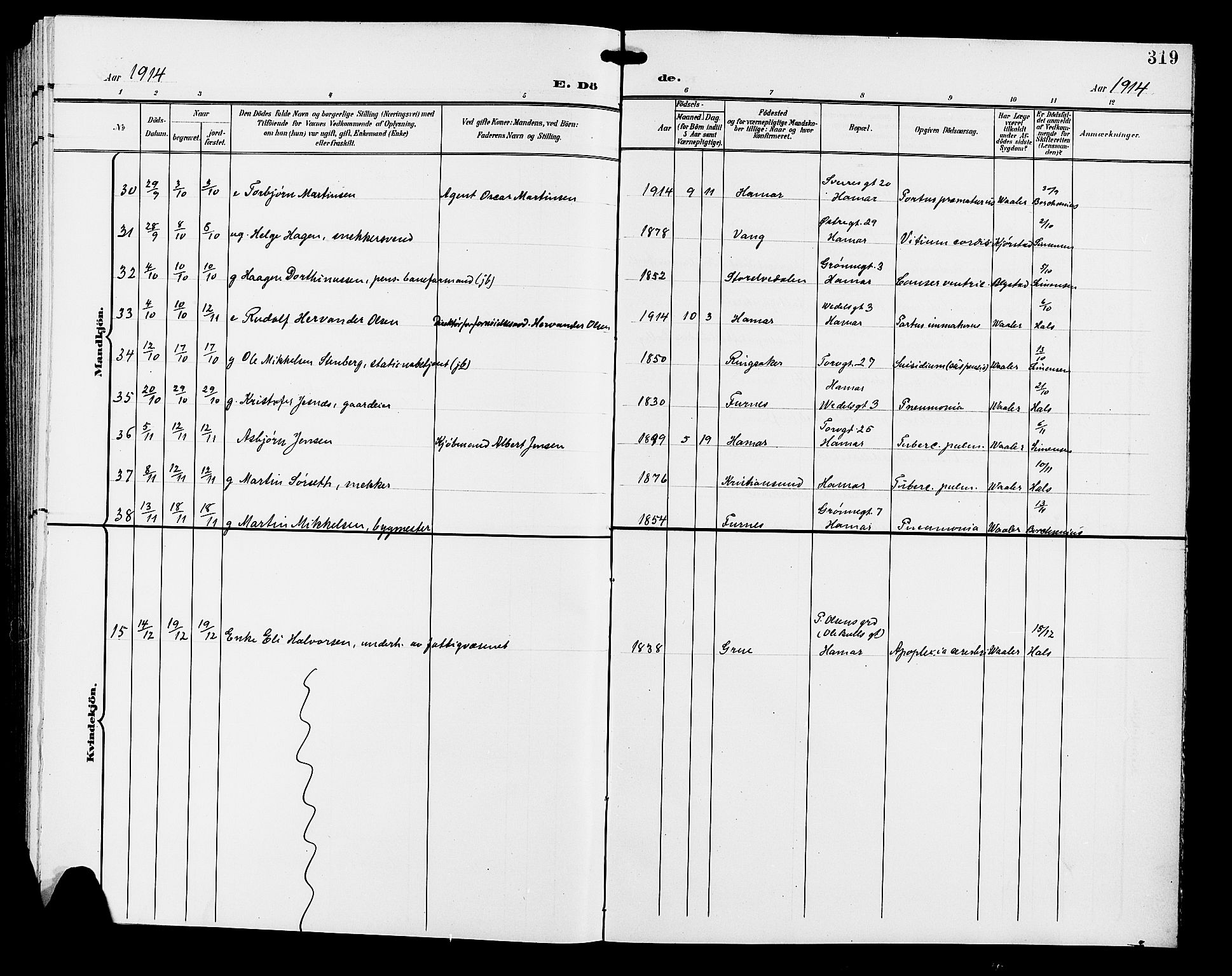 Hamar prestekontor, AV/SAH-DOMPH-002/H/Ha/Hab/L0001: Parish register (copy) no. 1, 1899-1914, p. 319