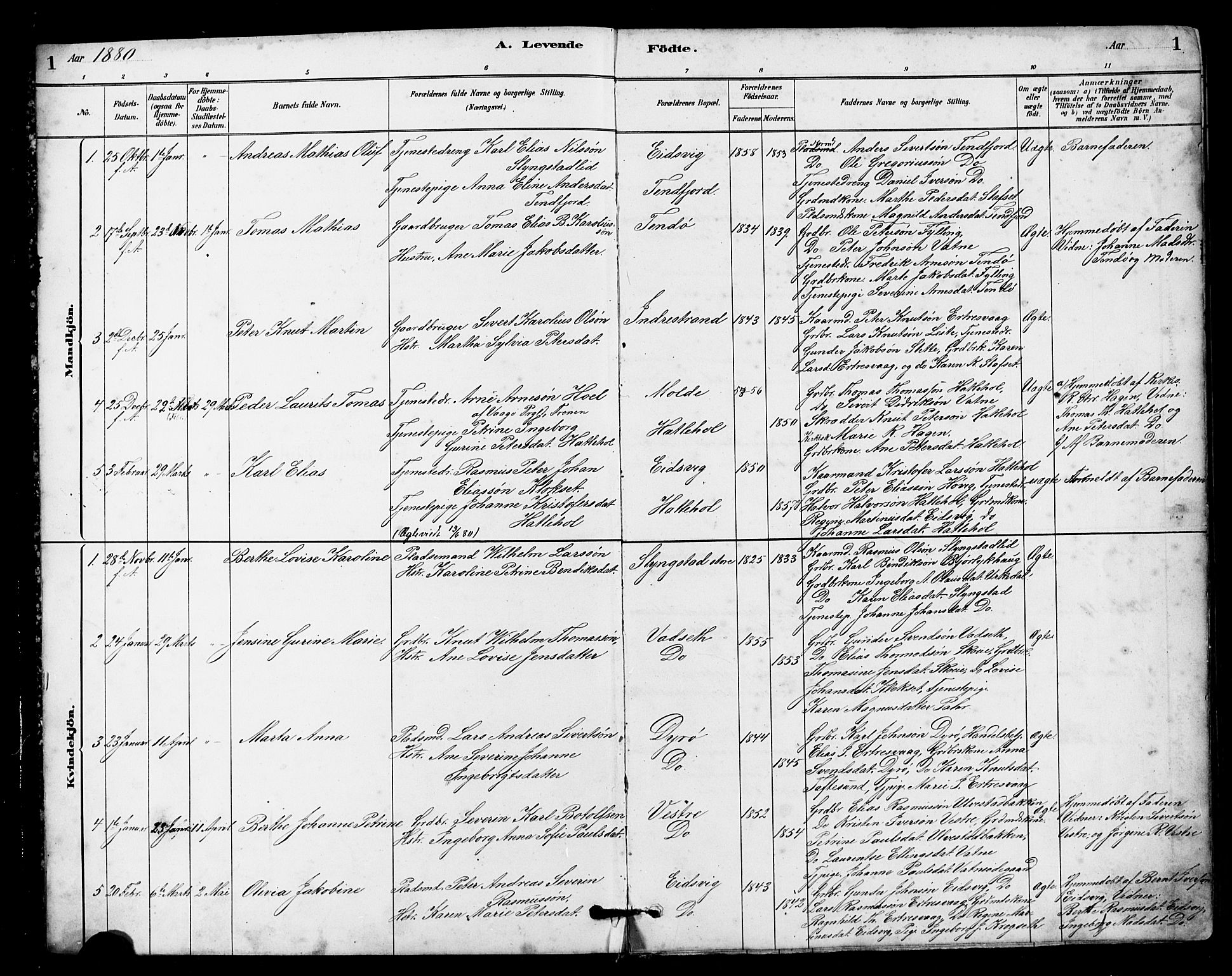 Ministerialprotokoller, klokkerbøker og fødselsregistre - Møre og Romsdal, AV/SAT-A-1454/525/L0376: Parish register (copy) no. 525C02, 1880-1902, p. 1