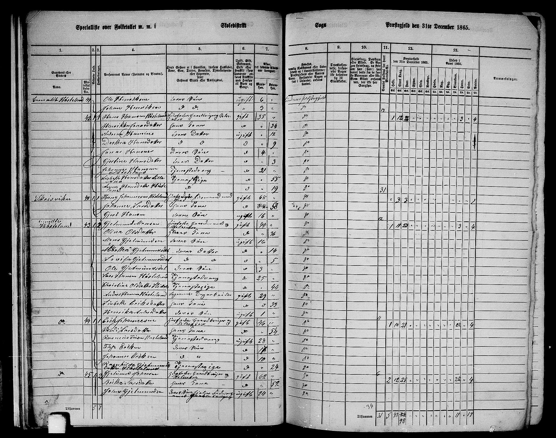 RA, 1865 census for Lindås, 1865, p. 25