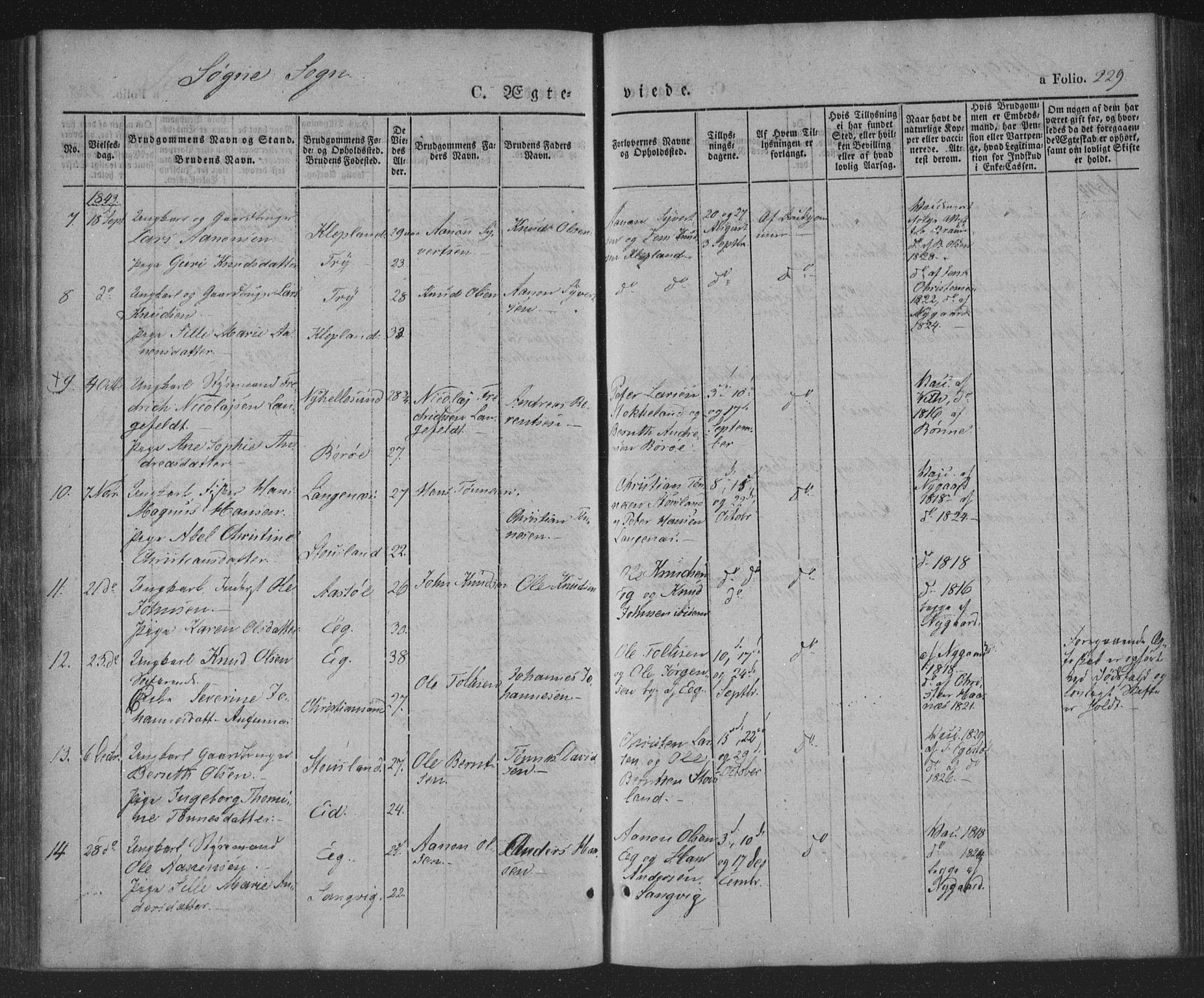 Søgne sokneprestkontor, AV/SAK-1111-0037/F/Fa/Fab/L0009: Parish register (official) no. A 9, 1838-1853, p. 229