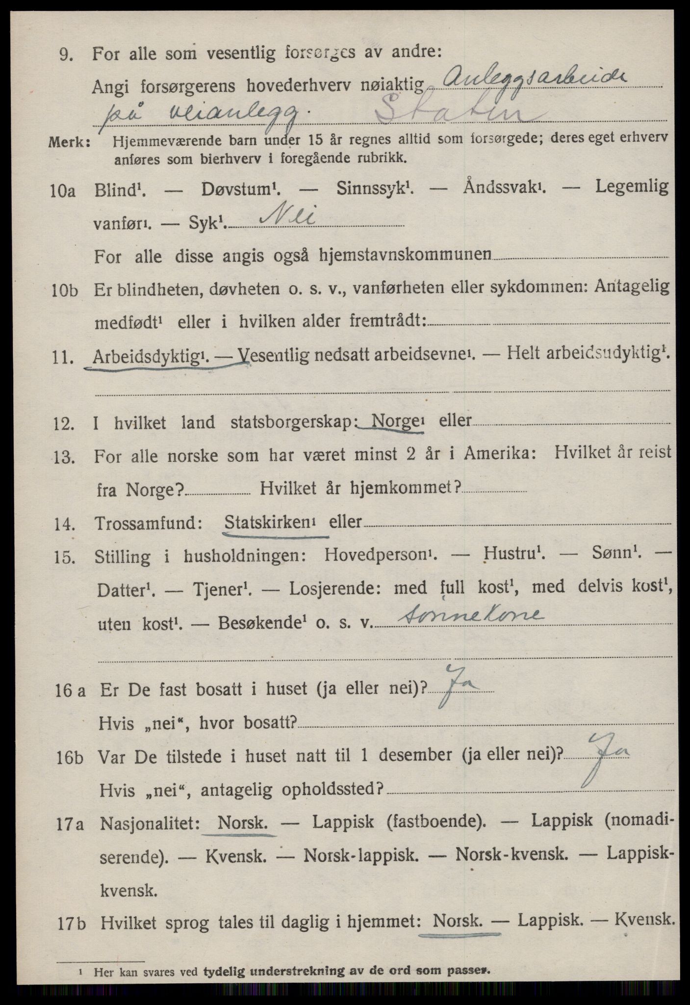 SAT, 1920 census for Stjørna, 1920, p. 4207