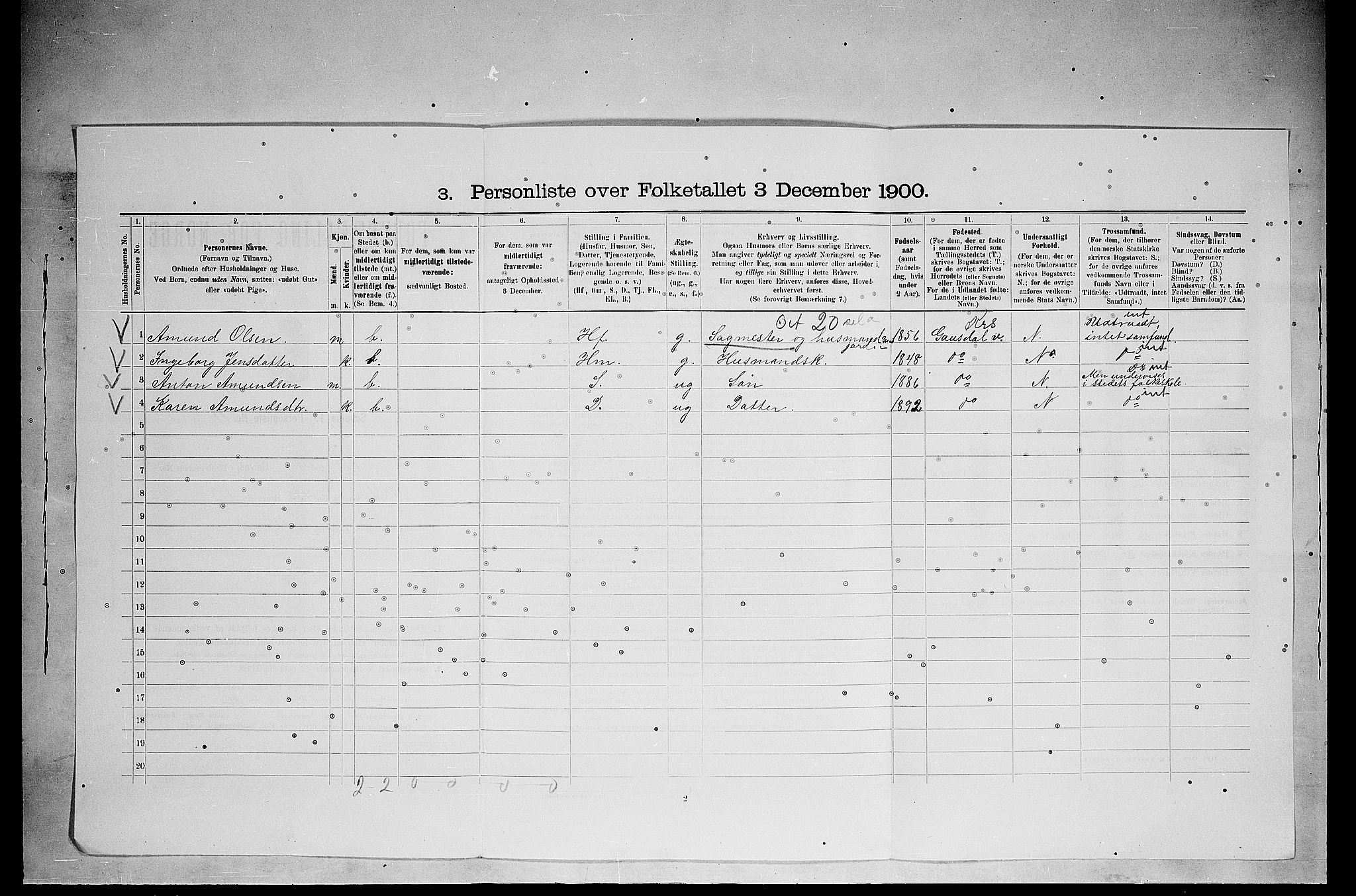 SAH, 1900 census for Ringsaker, 1900, p. 3251
