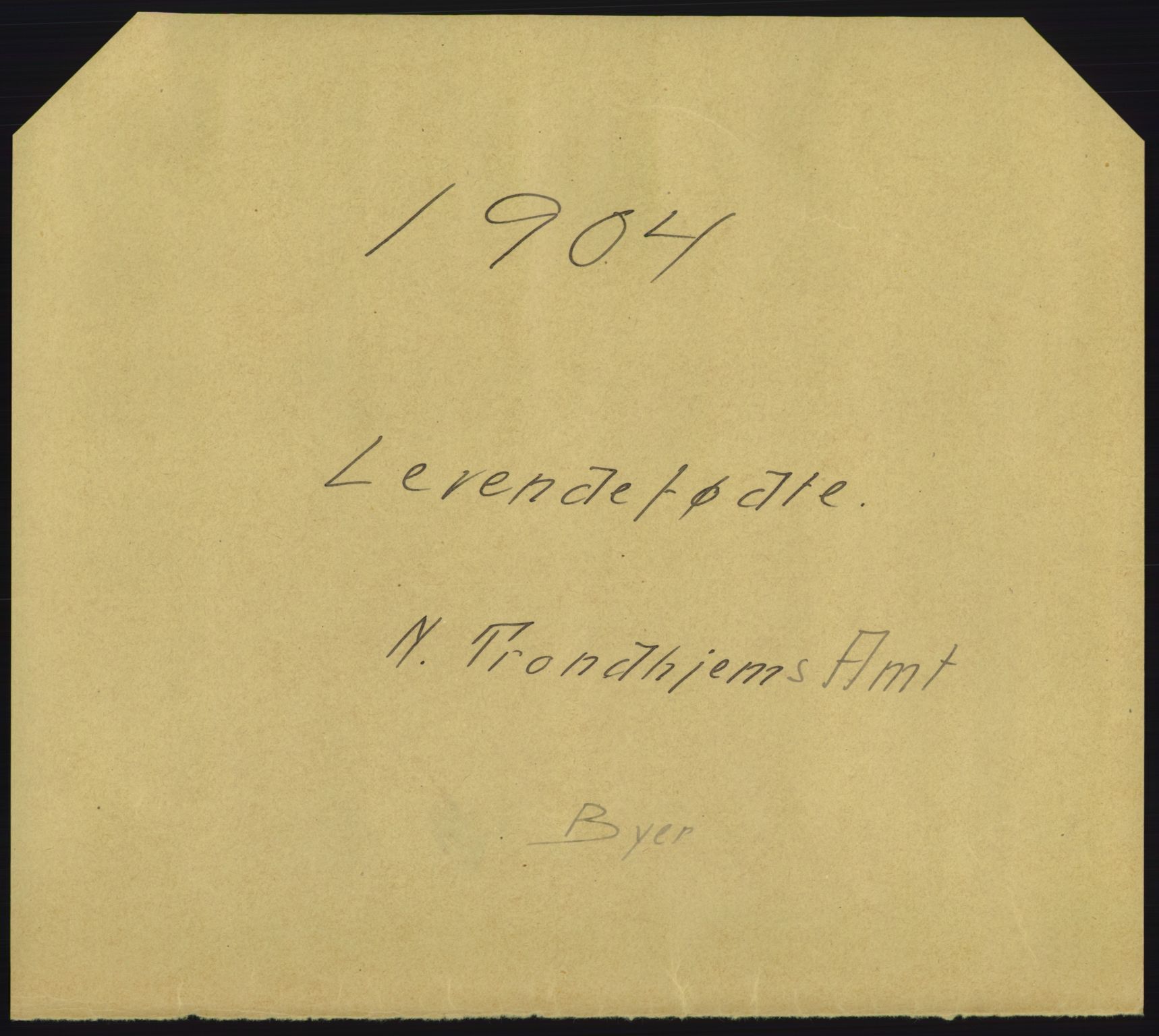 Statistisk sentralbyrå, Sosiodemografiske emner, Befolkning, RA/S-2228/D/Df/Dfa/Dfab/L0019: Nordre Trondhjems amt: Fødte, gifte, døde, 1904, p. 1