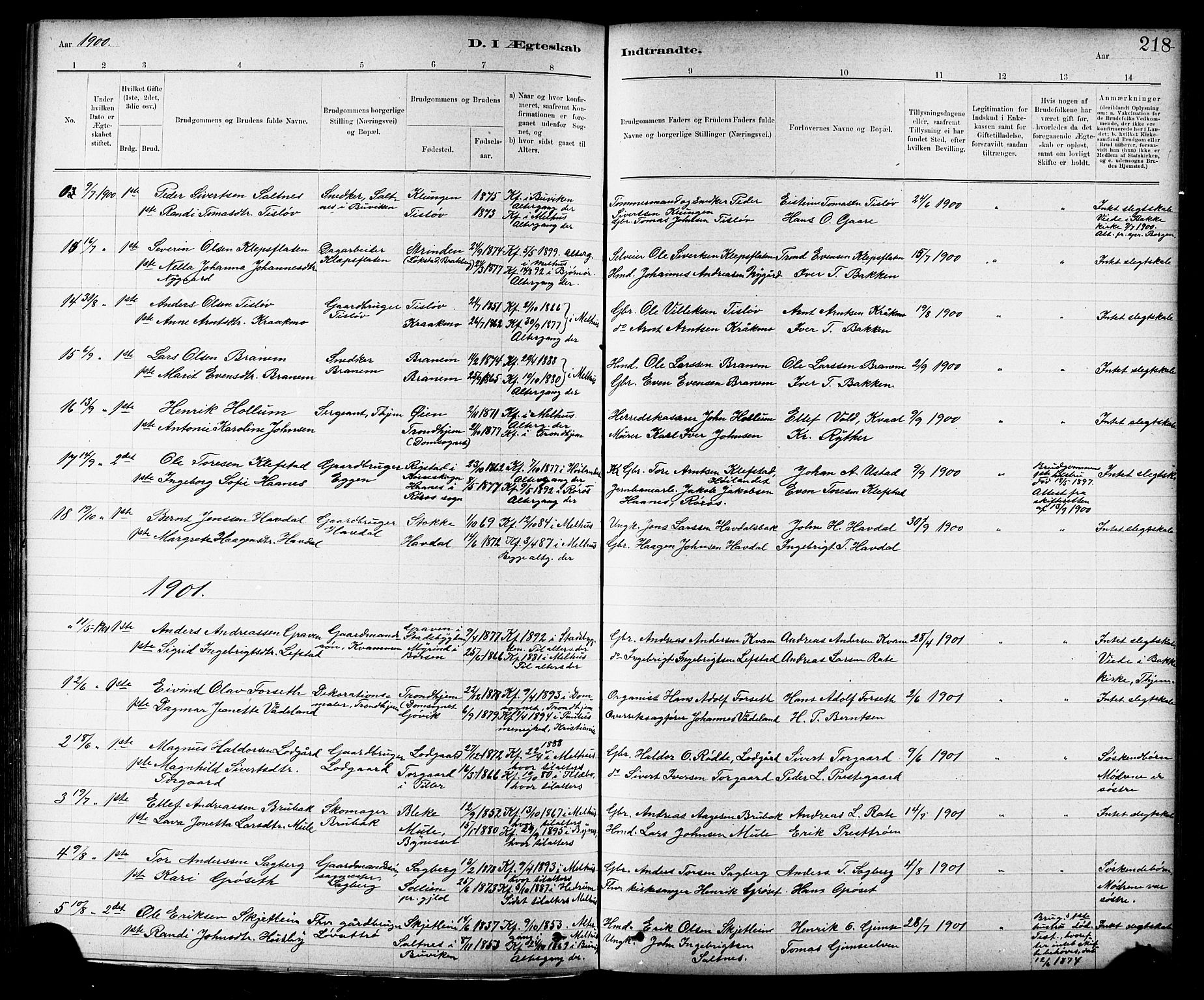 Ministerialprotokoller, klokkerbøker og fødselsregistre - Sør-Trøndelag, AV/SAT-A-1456/691/L1094: Parish register (copy) no. 691C05, 1879-1911, p. 218