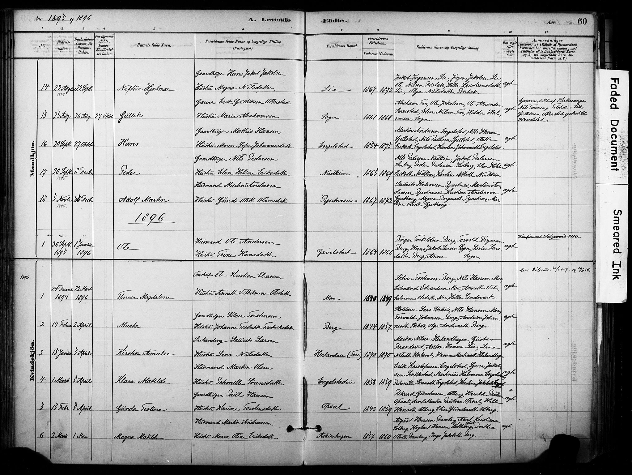 Lardal kirkebøker, AV/SAKO-A-350/F/Fb/L0001: Parish register (official) no. II 1, 1881-1911, p. 60