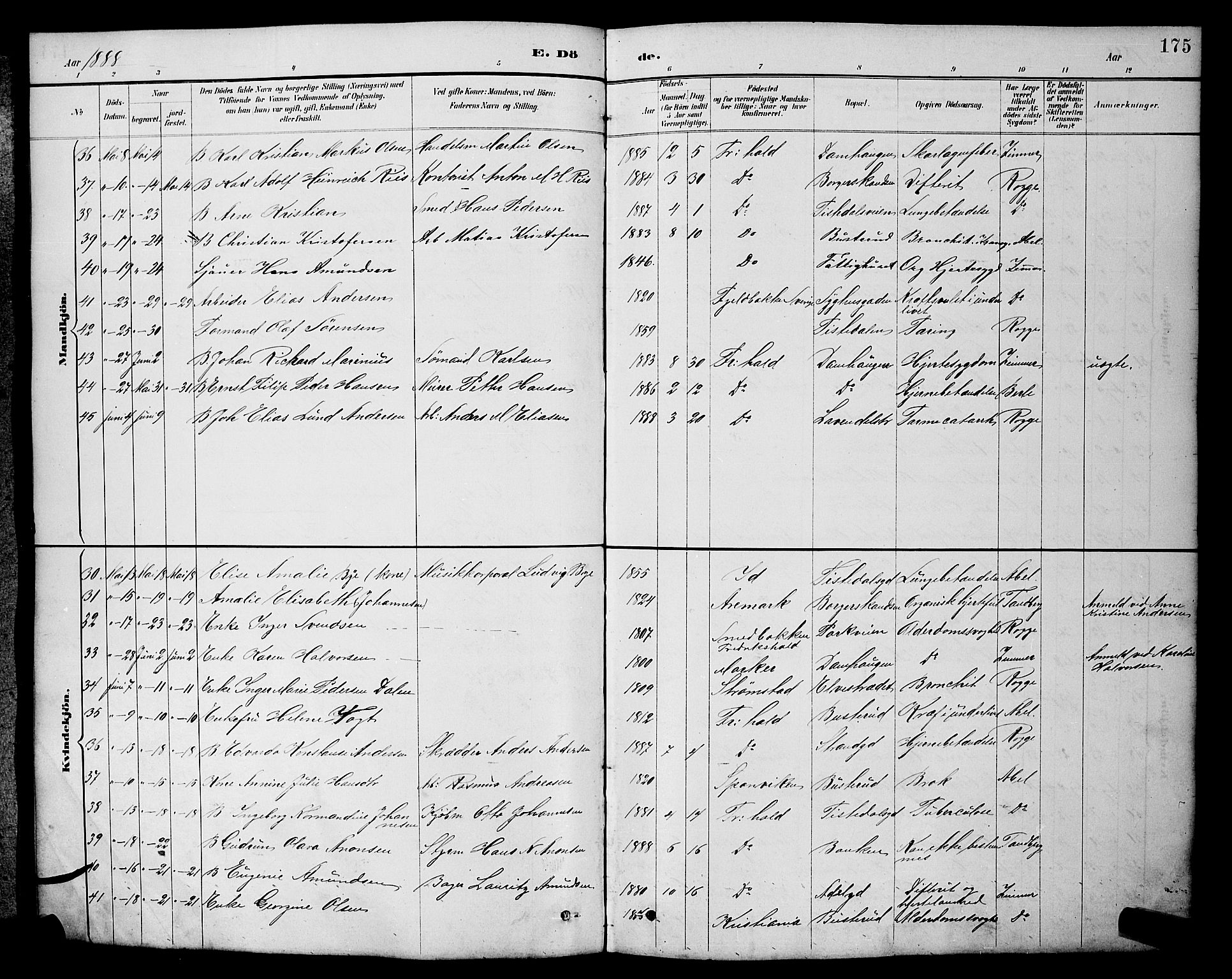 Halden prestekontor Kirkebøker, AV/SAO-A-10909/G/Ga/L0009: Parish register (copy) no. 9, 1885-1908, p. 175