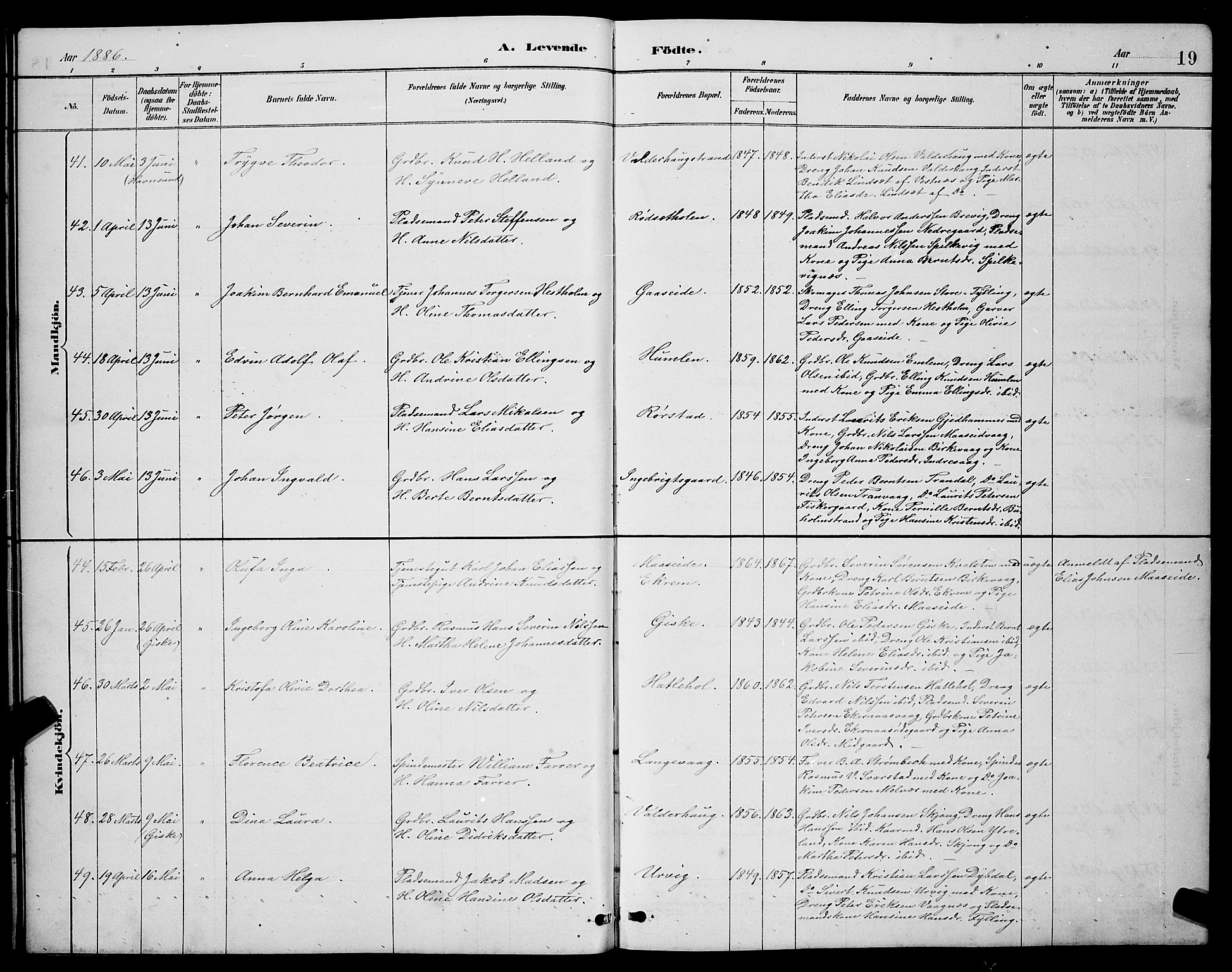 Ministerialprotokoller, klokkerbøker og fødselsregistre - Møre og Romsdal, AV/SAT-A-1454/528/L0431: Parish register (copy) no. 528C12, 1885-1898, p. 19