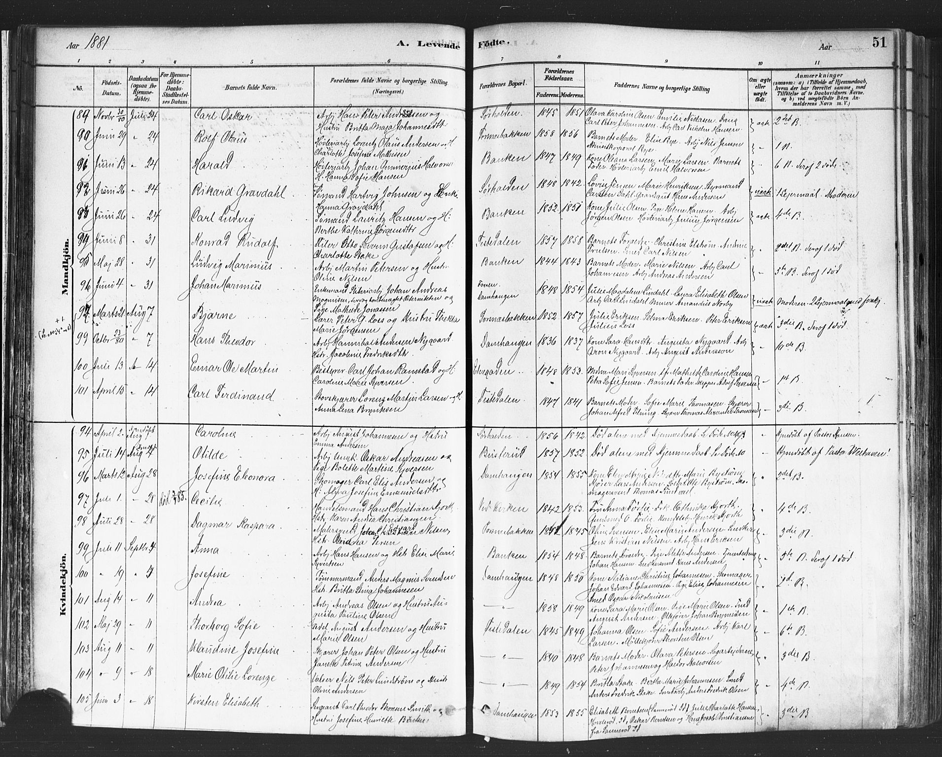 Halden prestekontor Kirkebøker, SAO/A-10909/F/Fa/L0011: Parish register (official) no. I 11, 1878-1889, p. 51