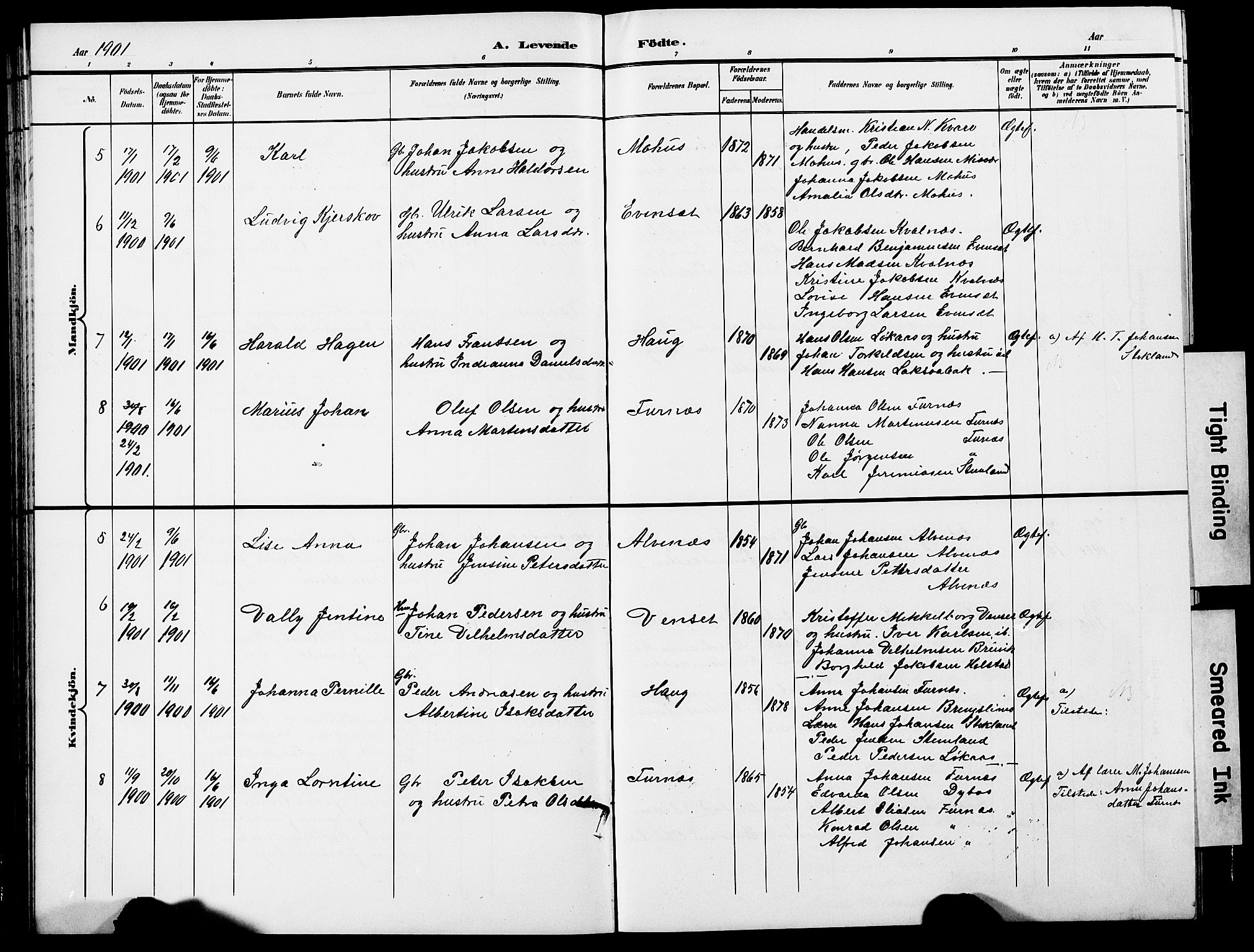 Ministerialprotokoller, klokkerbøker og fødselsregistre - Nordland, AV/SAT-A-1459/852/L0755: Parish register (copy) no. 852C06, 1895-1902