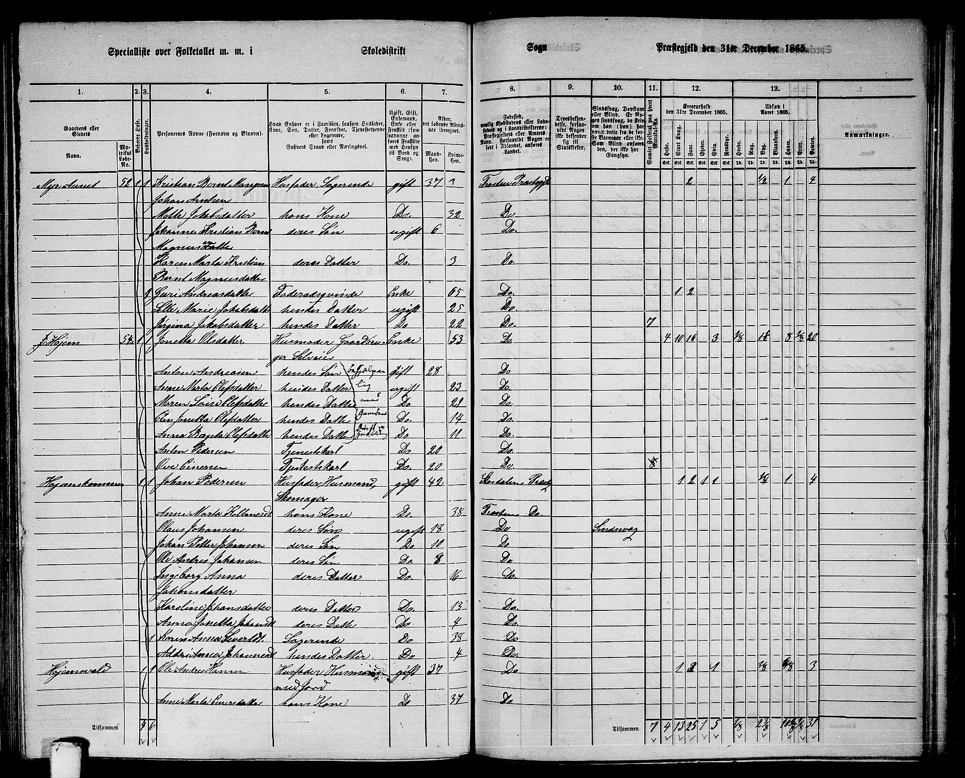 RA, 1865 census for Frosta, 1865, p. 119