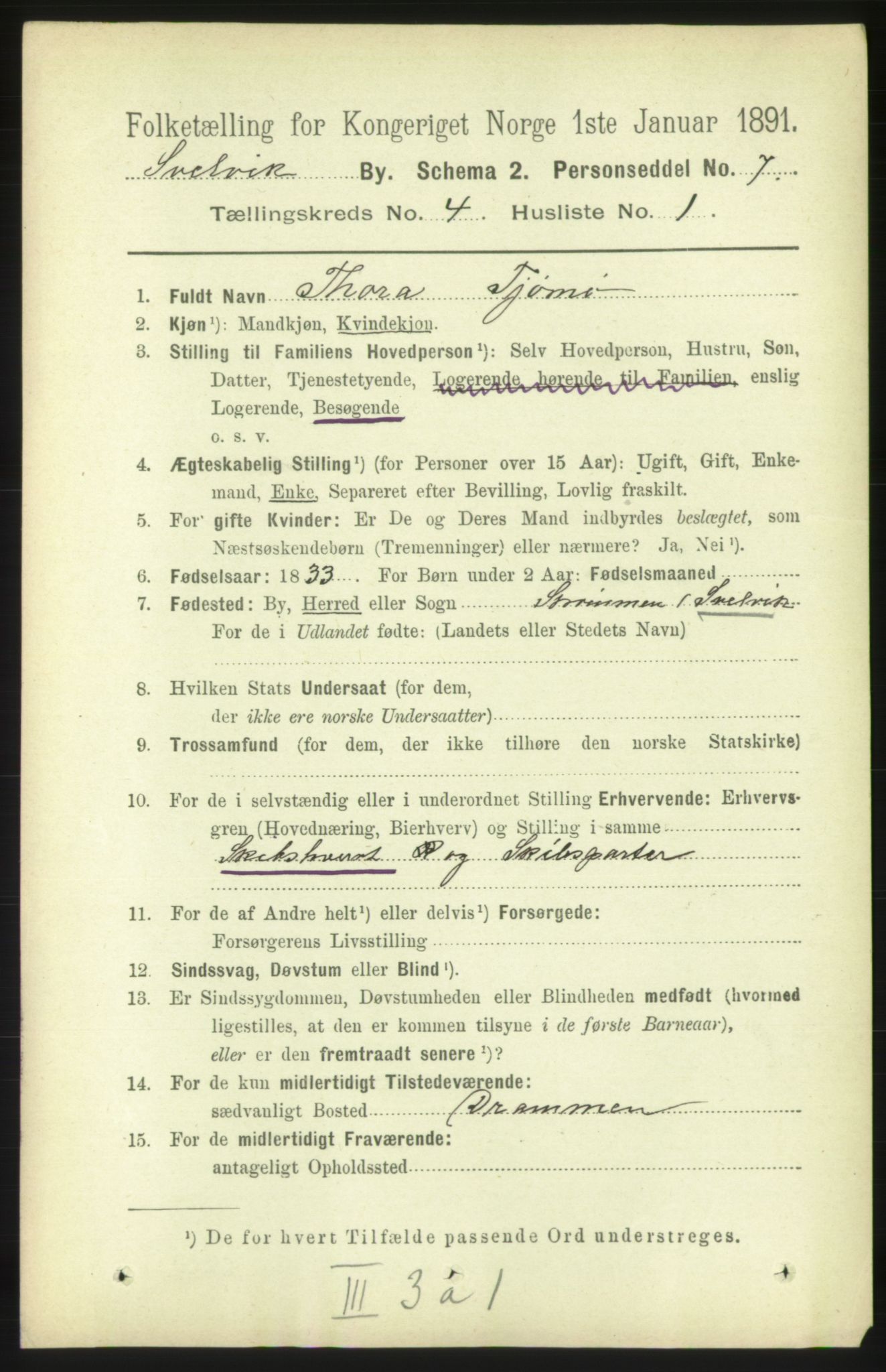 RA, 1891 census for 0701 Svelvik, 1891, p. 1608