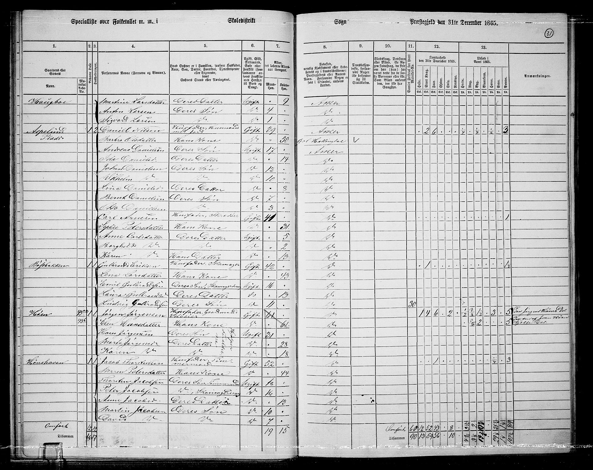 RA, 1865 census for Asker, 1865, p. 33