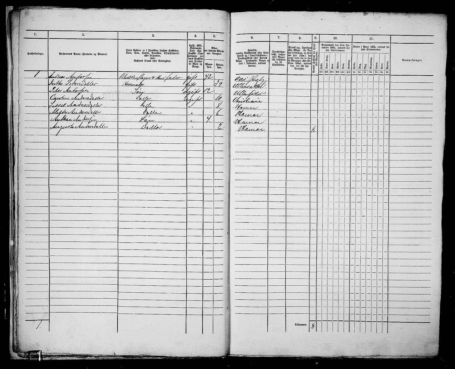 RA, 1865 census for Vang/Hamar, 1865, p. 16