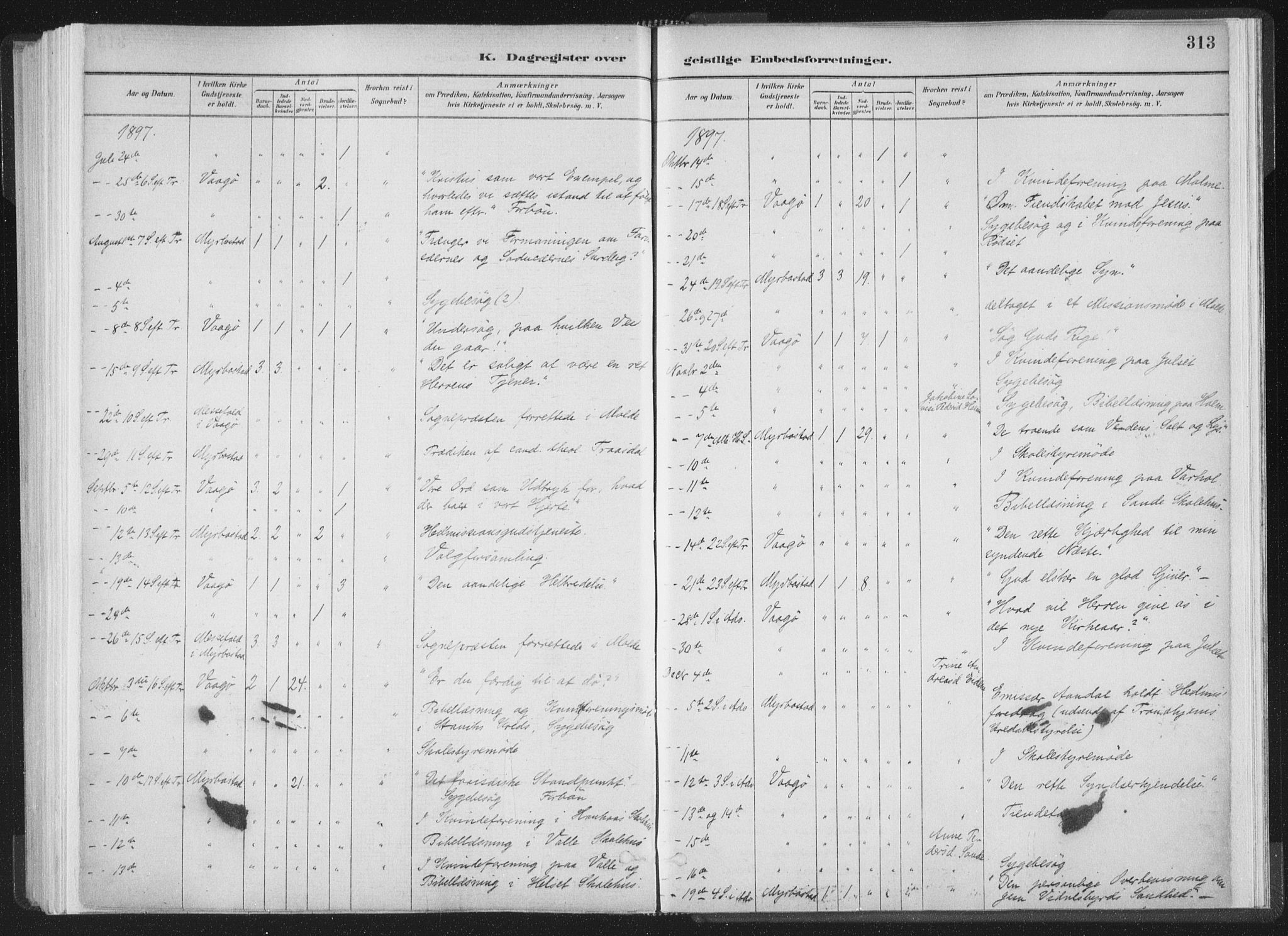 Ministerialprotokoller, klokkerbøker og fødselsregistre - Møre og Romsdal, AV/SAT-A-1454/564/L0740: Parish register (official) no. 564A01, 1880-1899, p. 313